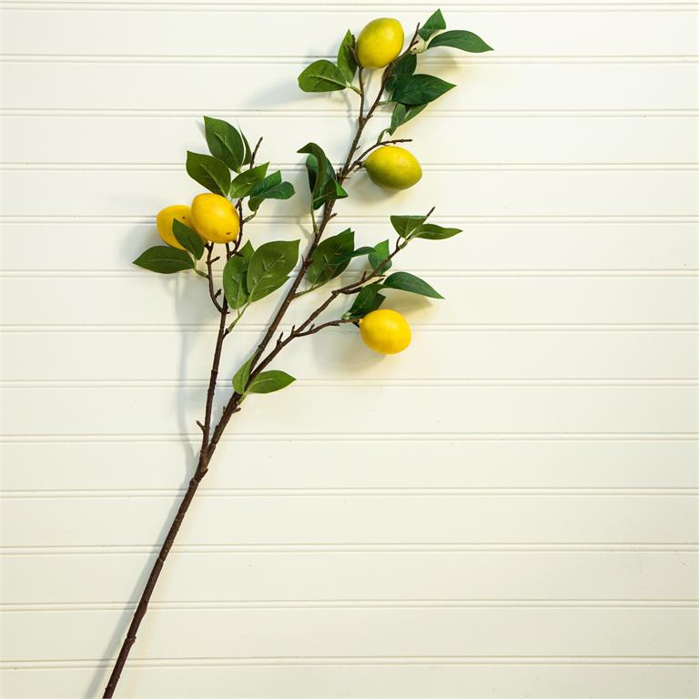 Lemon Branch
