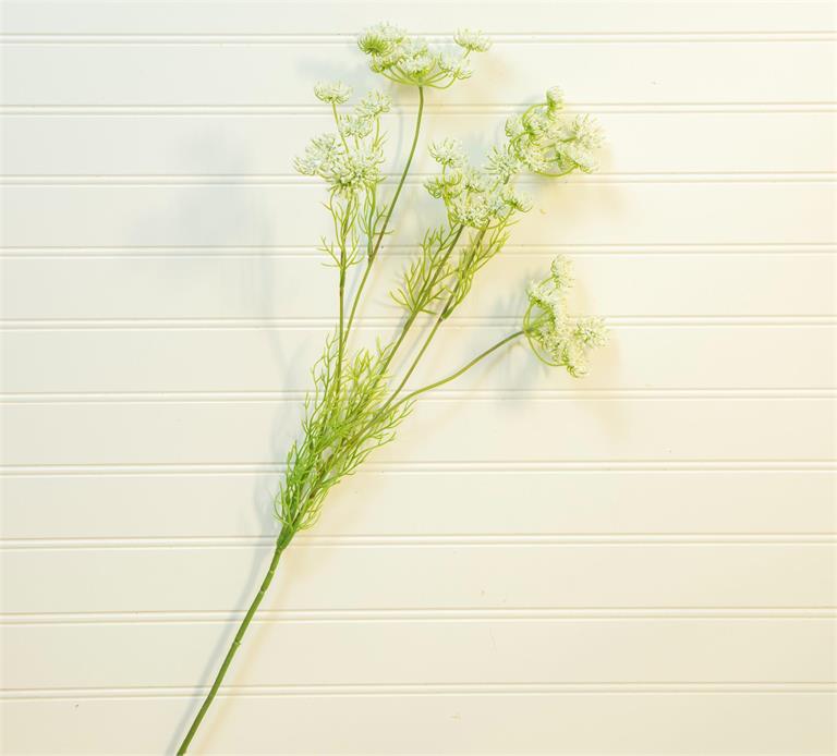 Queen Anne's Lace Stem