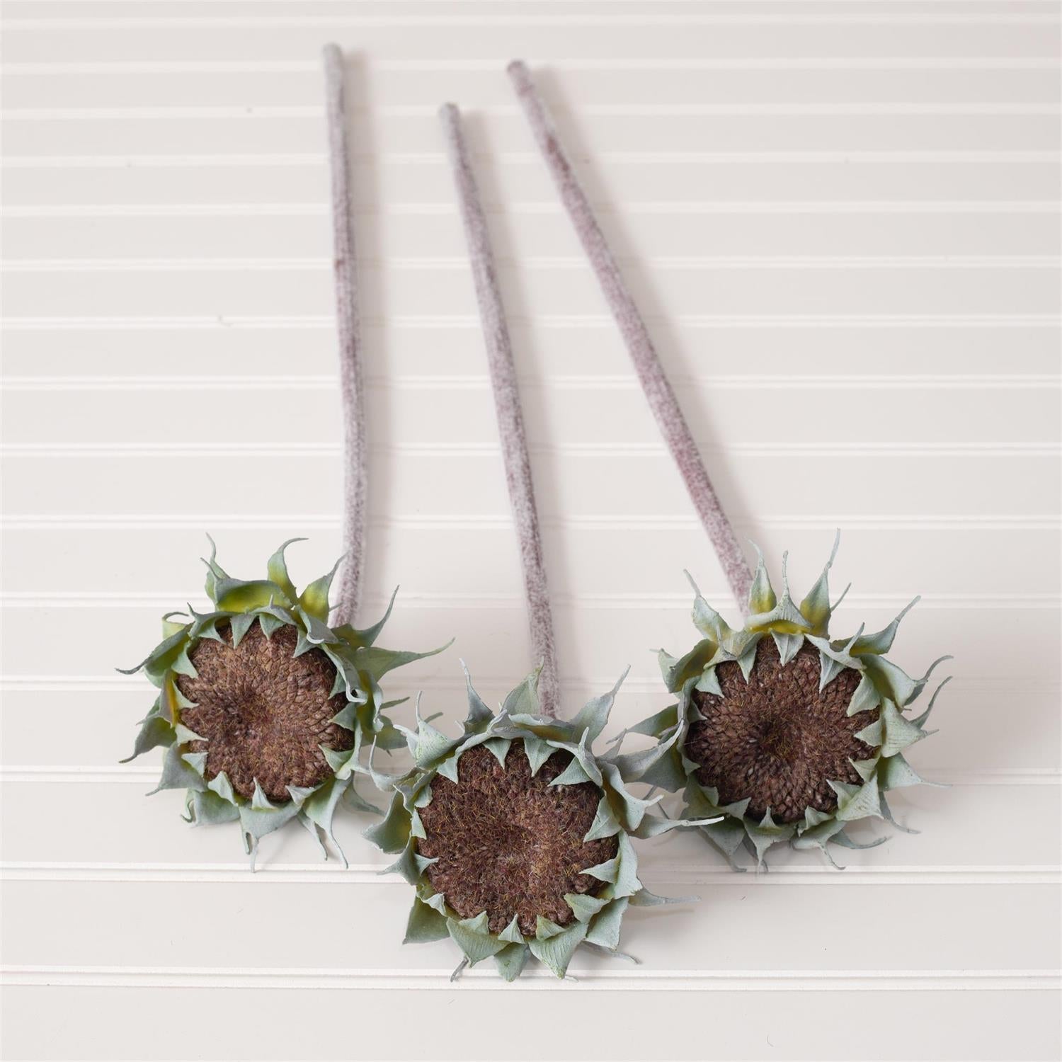 Pick - Shades Of Brown Sunflower