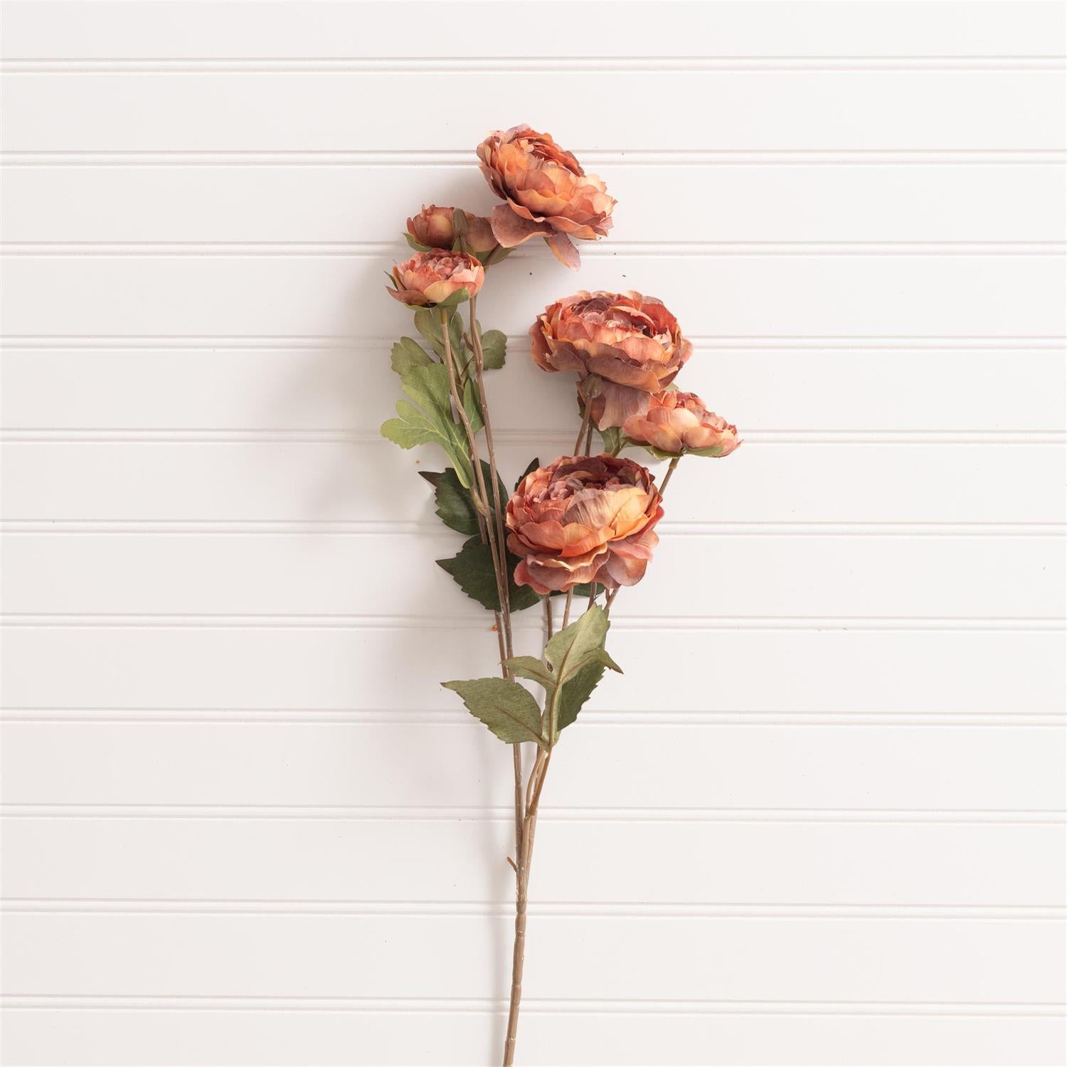 Pick - Ranunculus Rust