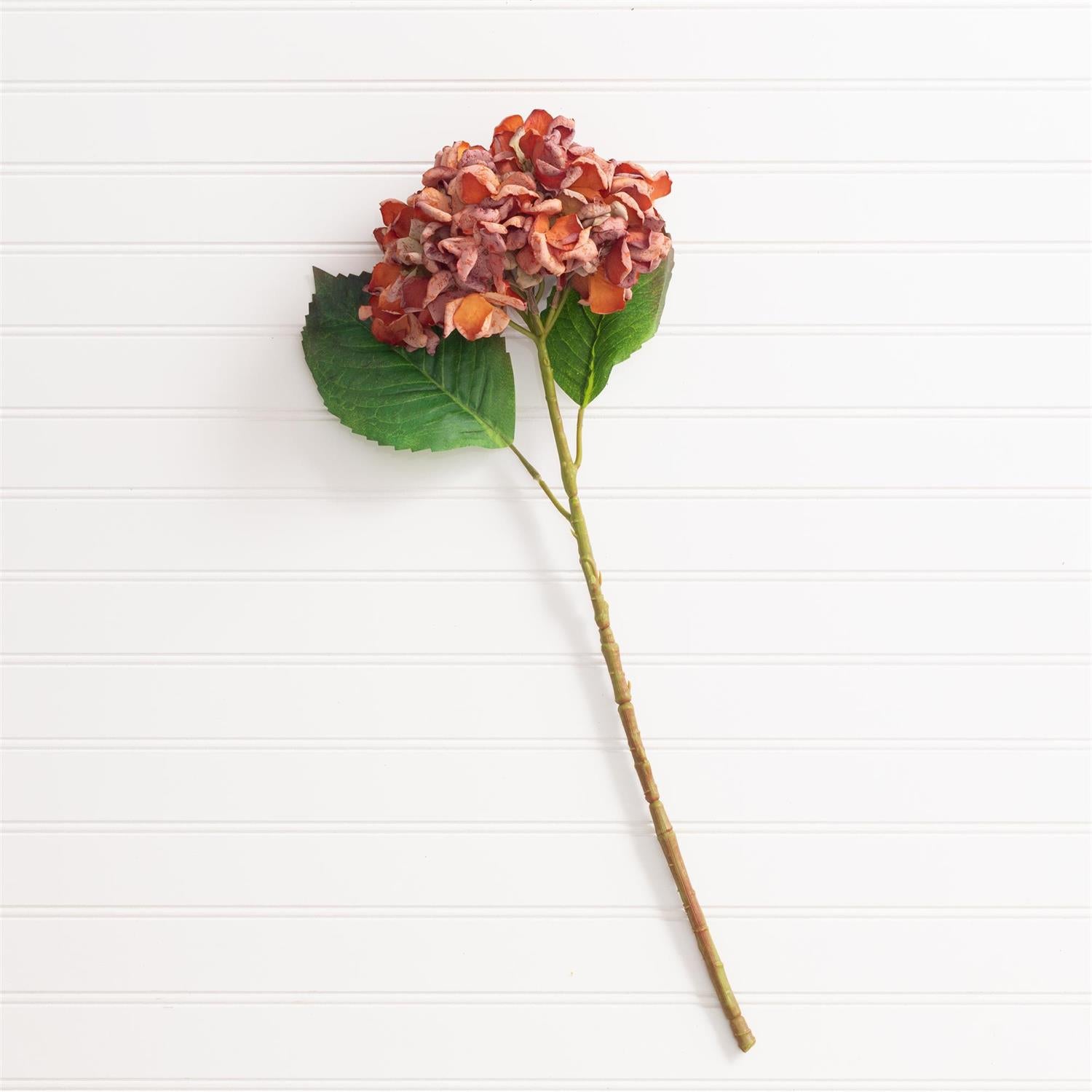 Pick - Hydrangea Orange