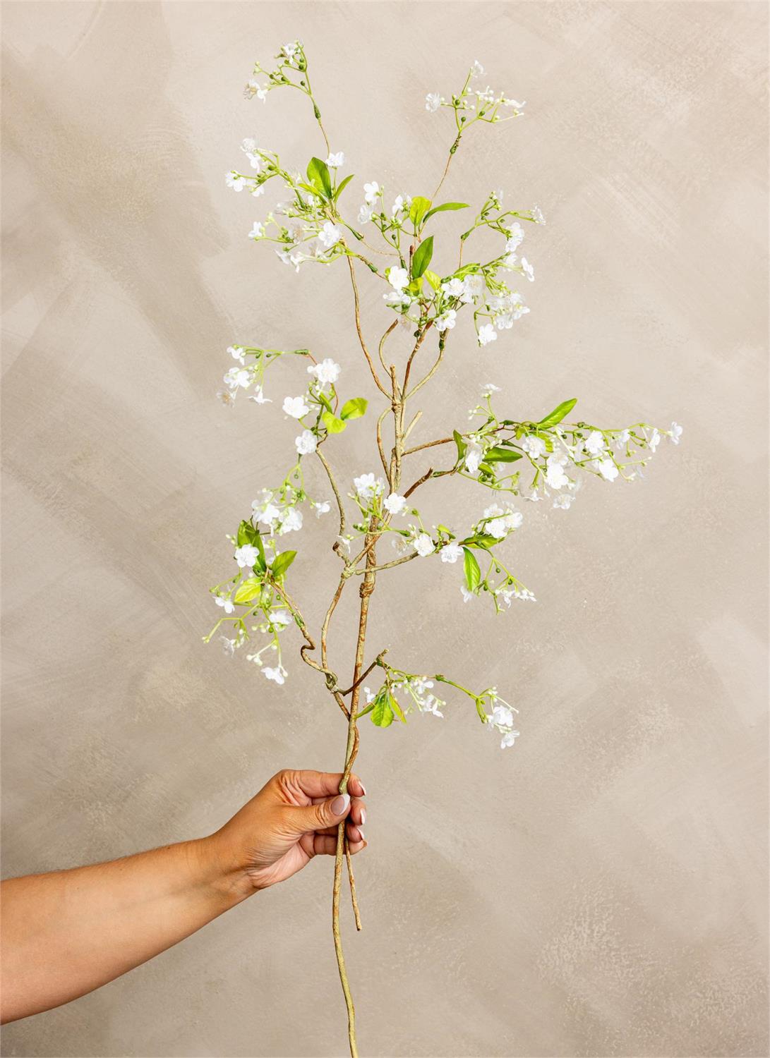 Stem - White Gypsophila