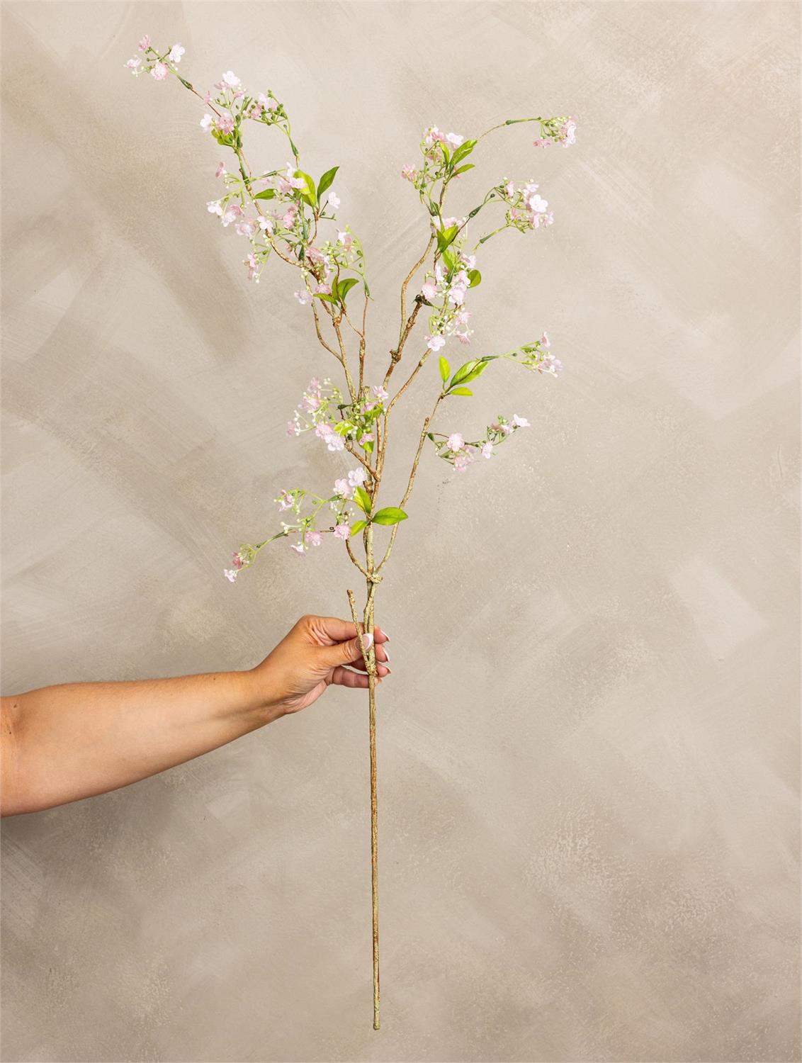 Stem - Pink Gypsophila