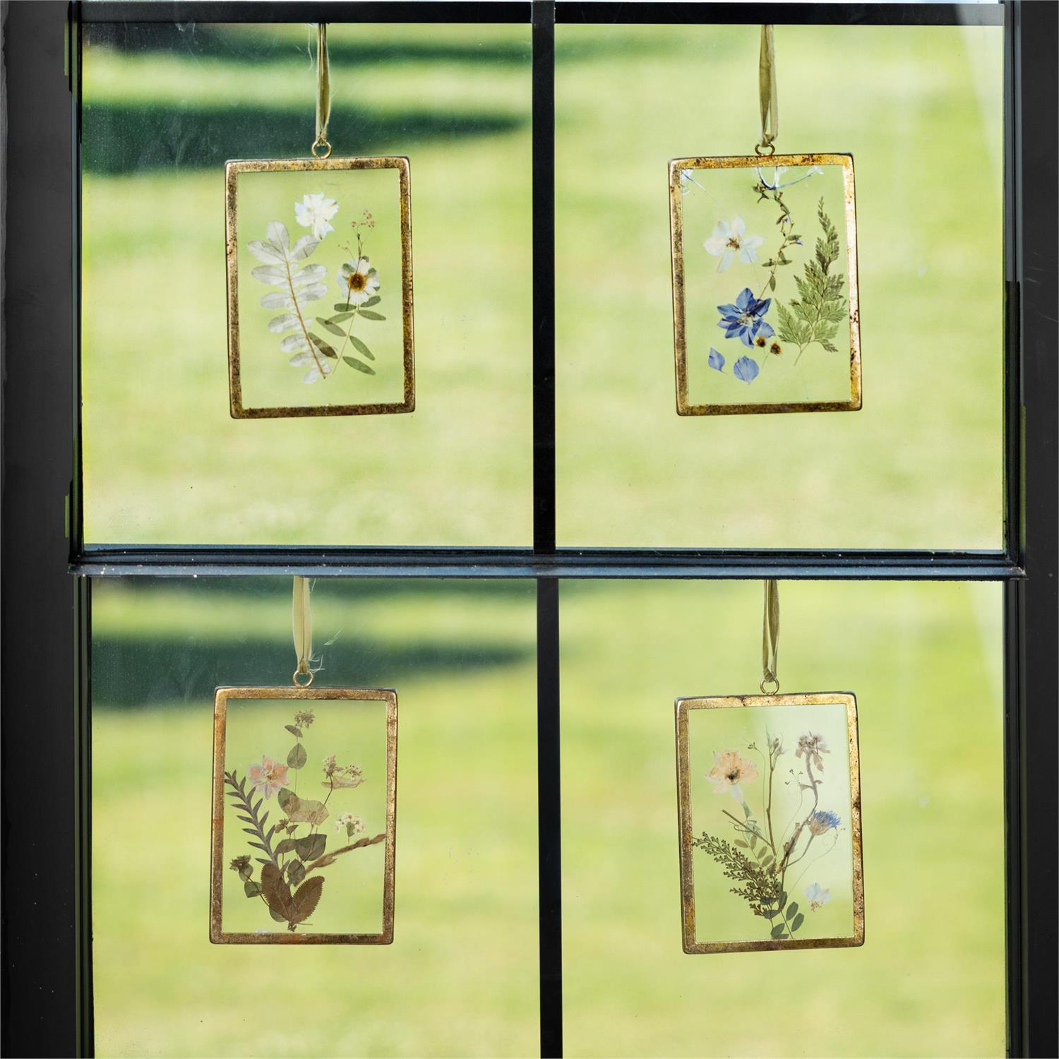Wall Art - Pressed Flowers, Gold Frames (4 Designs)