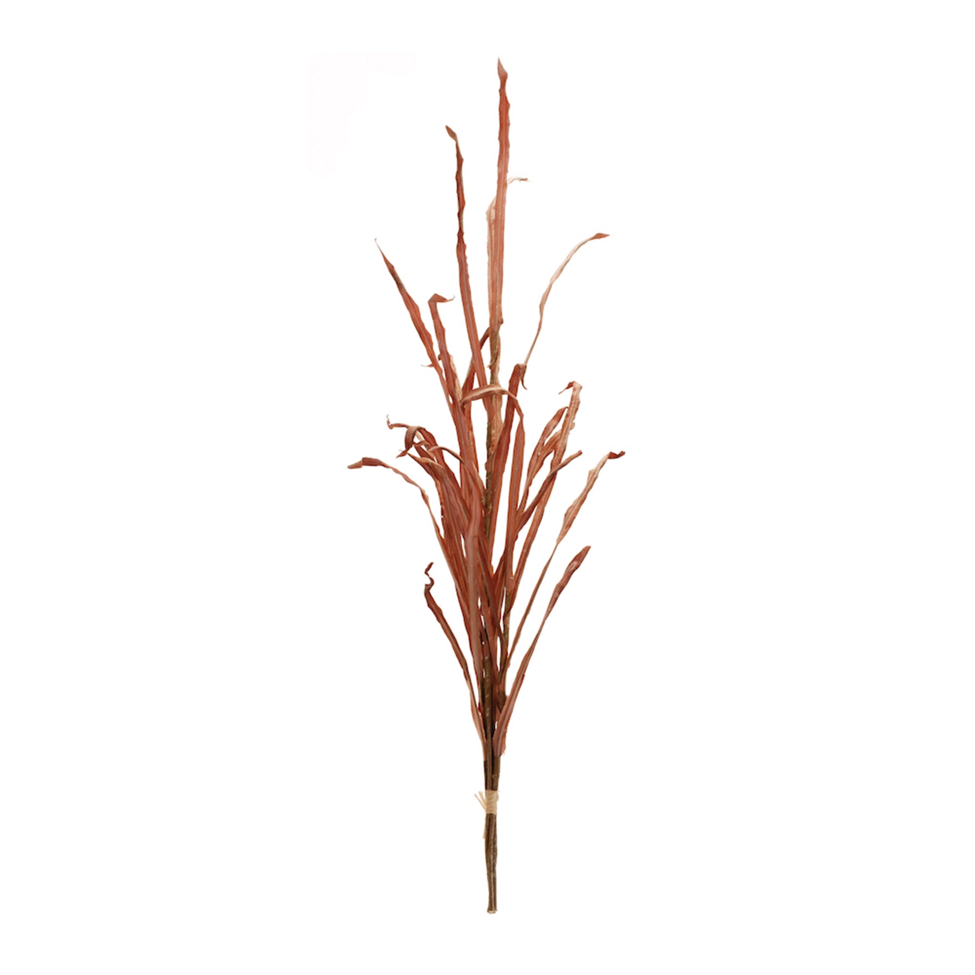 Tall Harvest Grass Stem (Set of 2)