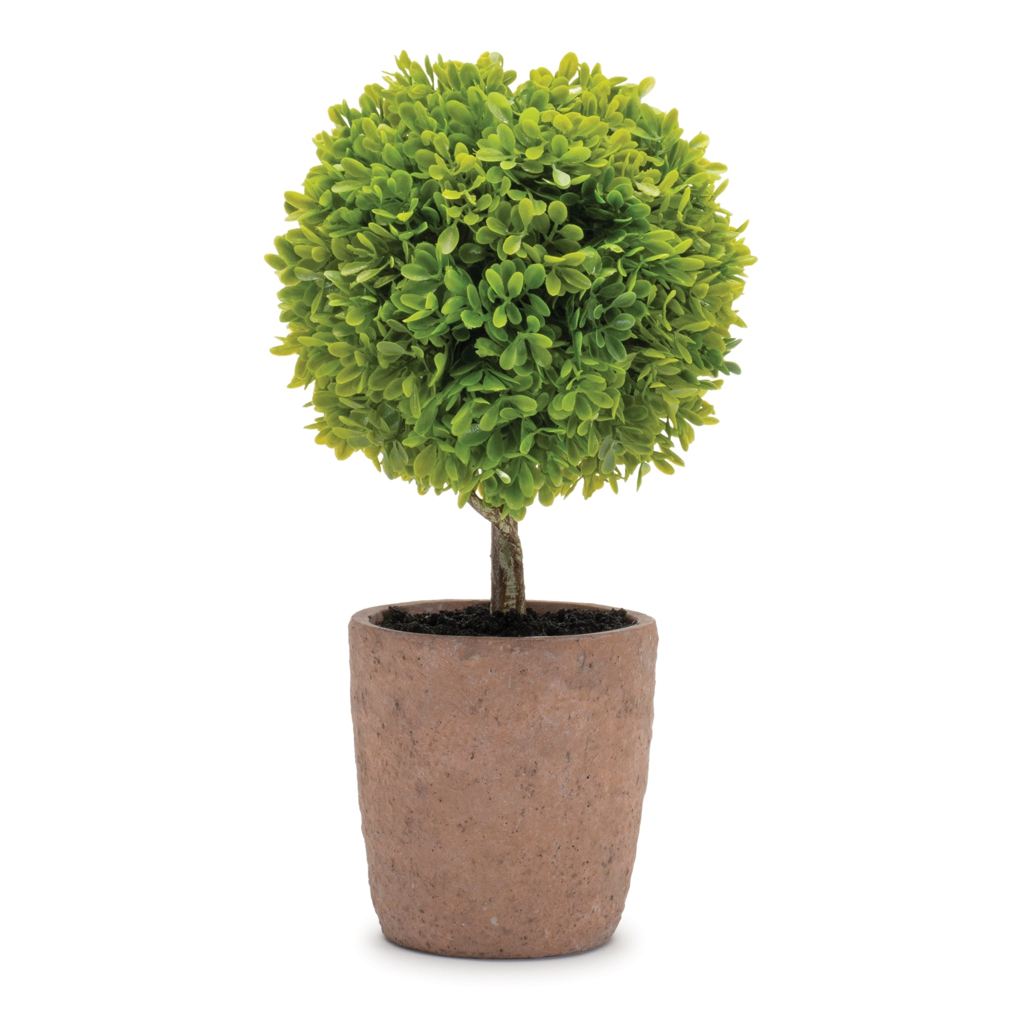 Potted Topiary Plant (Set of 2)