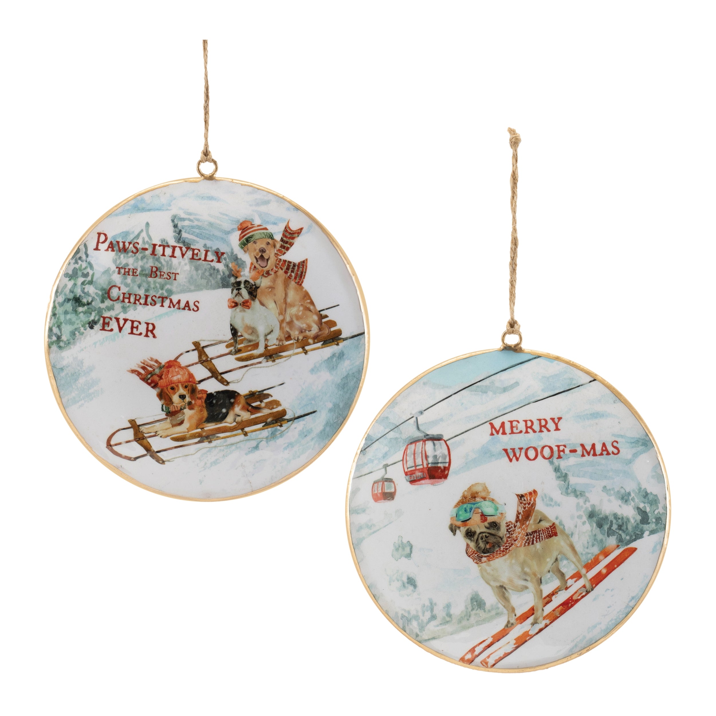 Sled and Ski Dogs Disc Ornament (2 Asst) 6”H Iron