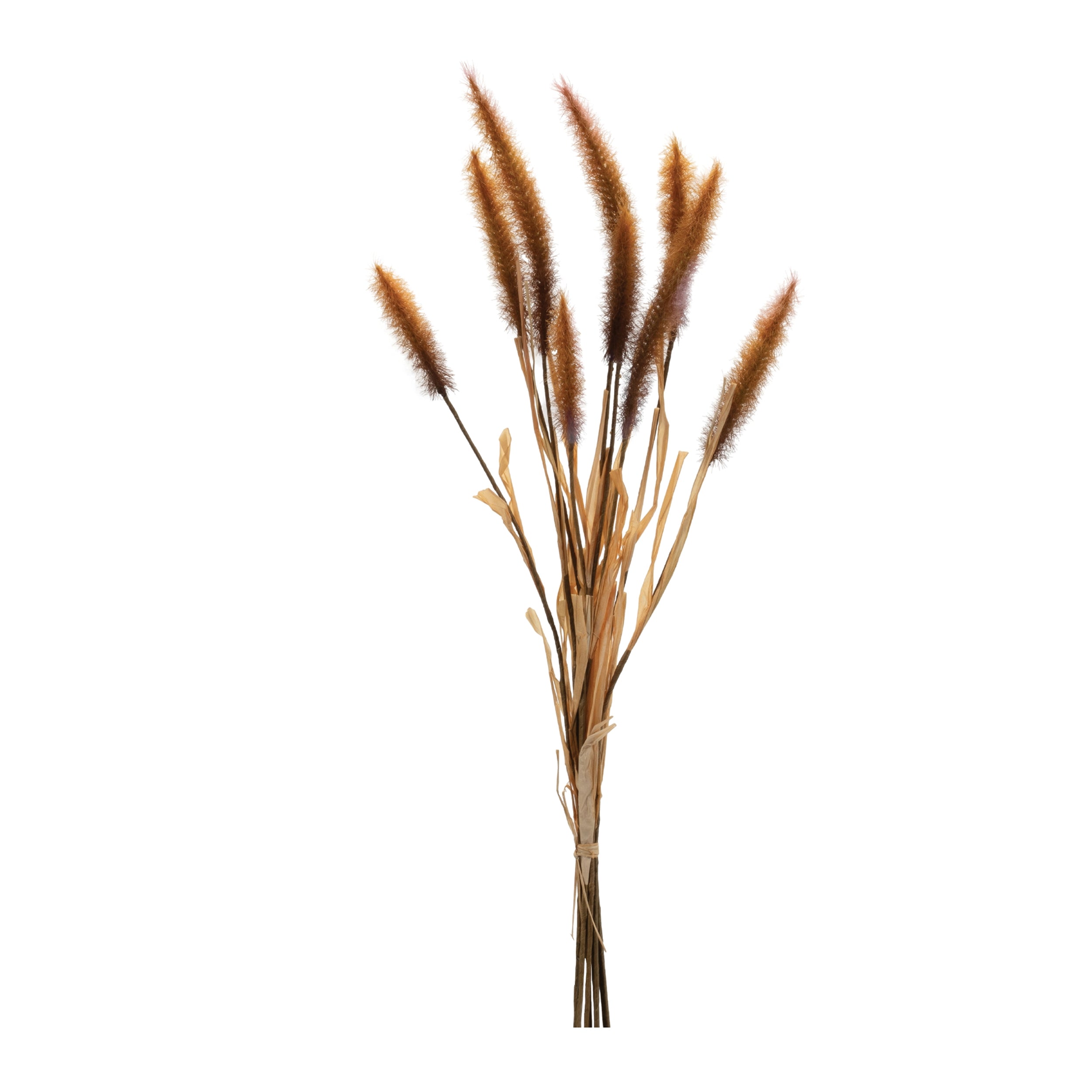 Foxtail Bundle 23”H