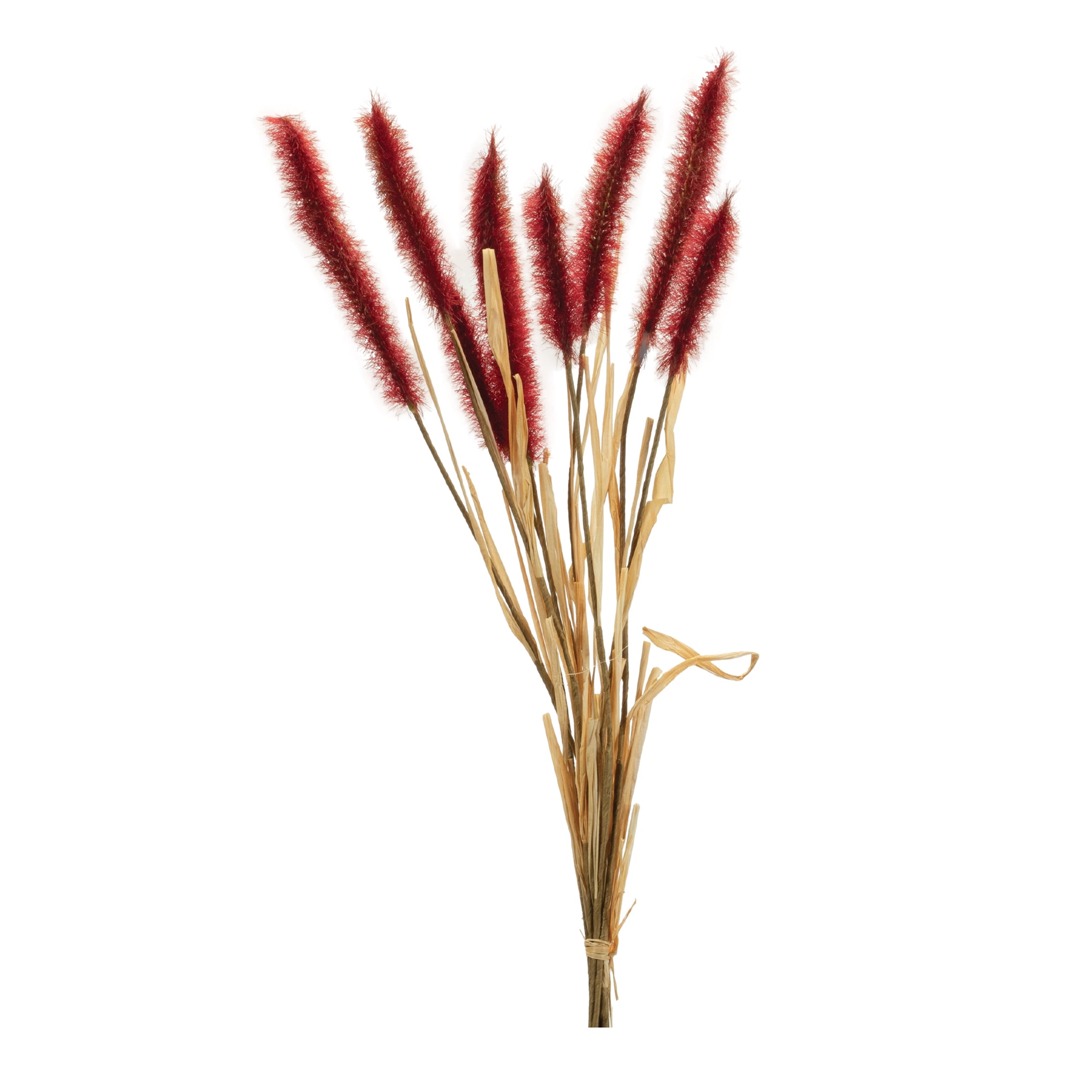 Foxtail Bundle 23”H