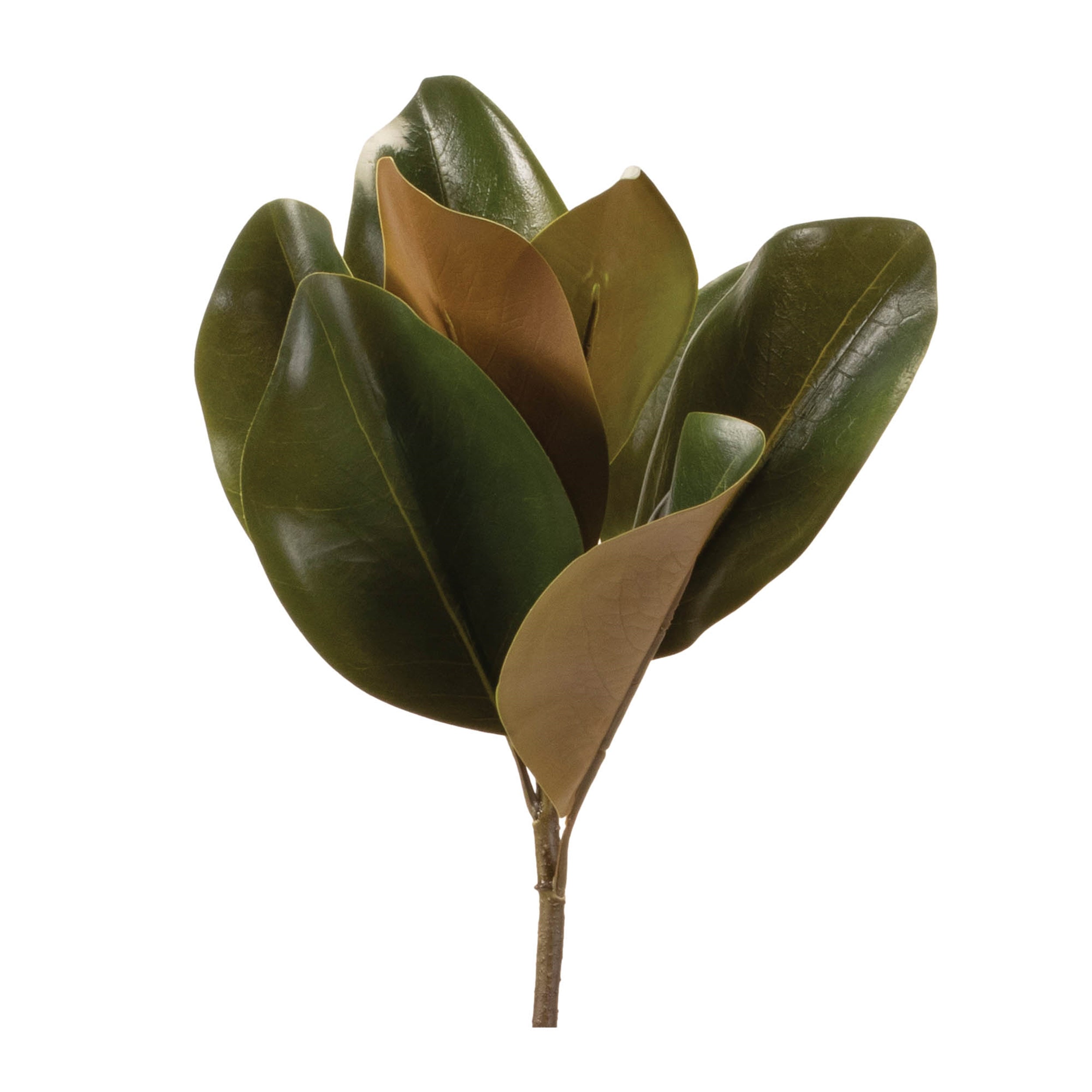 Magnolia Leaf Spray (Set of 6) 23.5"H Polyester