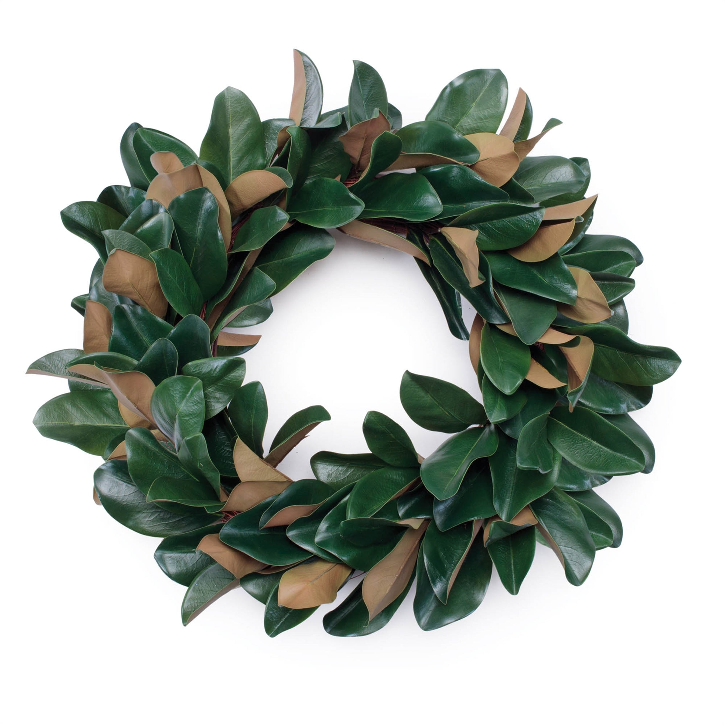 Magnolia Leaf Wreath 24"D Faux Floral Materials