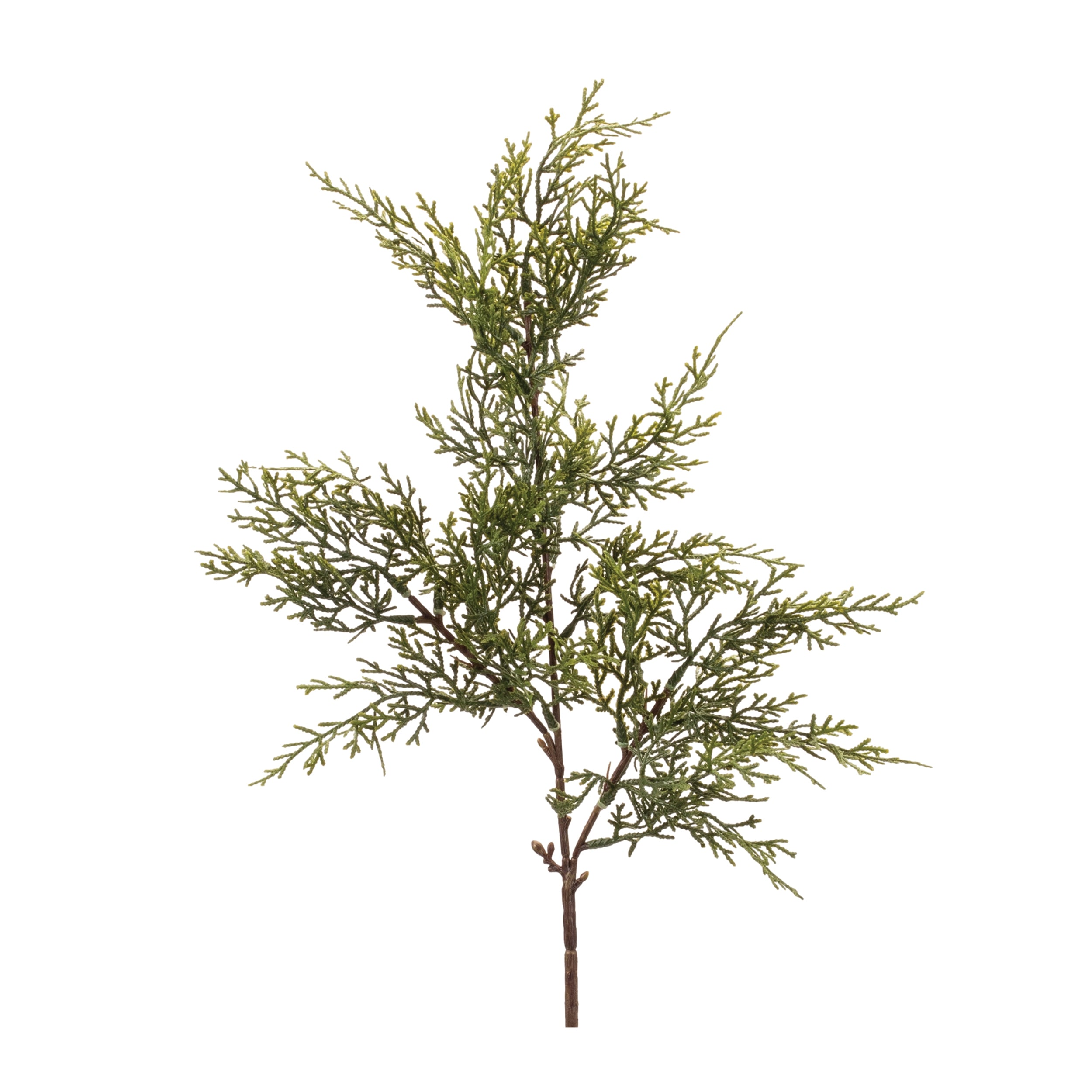 Pine Spray 31”H