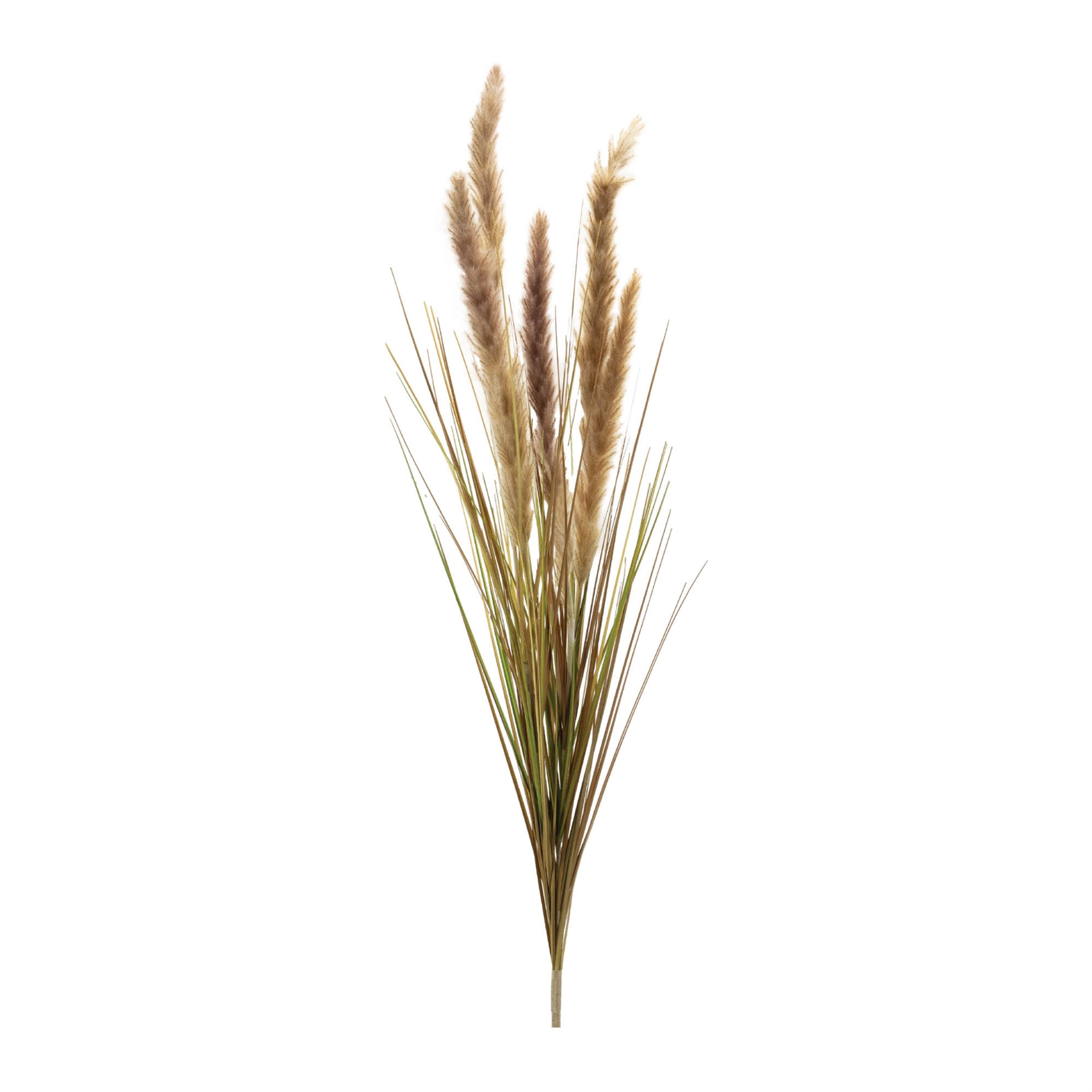 Foxtail Bush (Set of 6) 40"H Plastic
