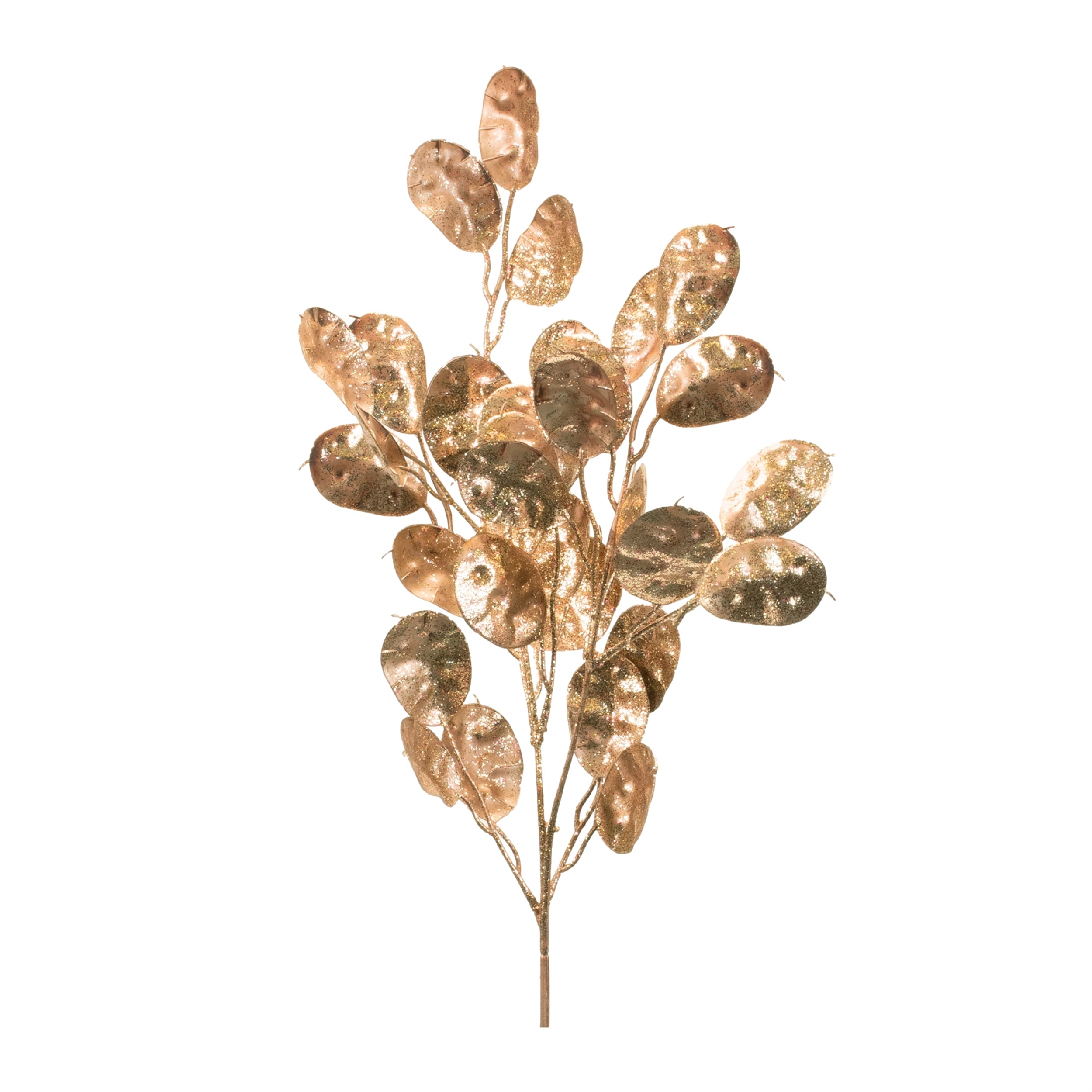 Silver Dollar Spray 26”H