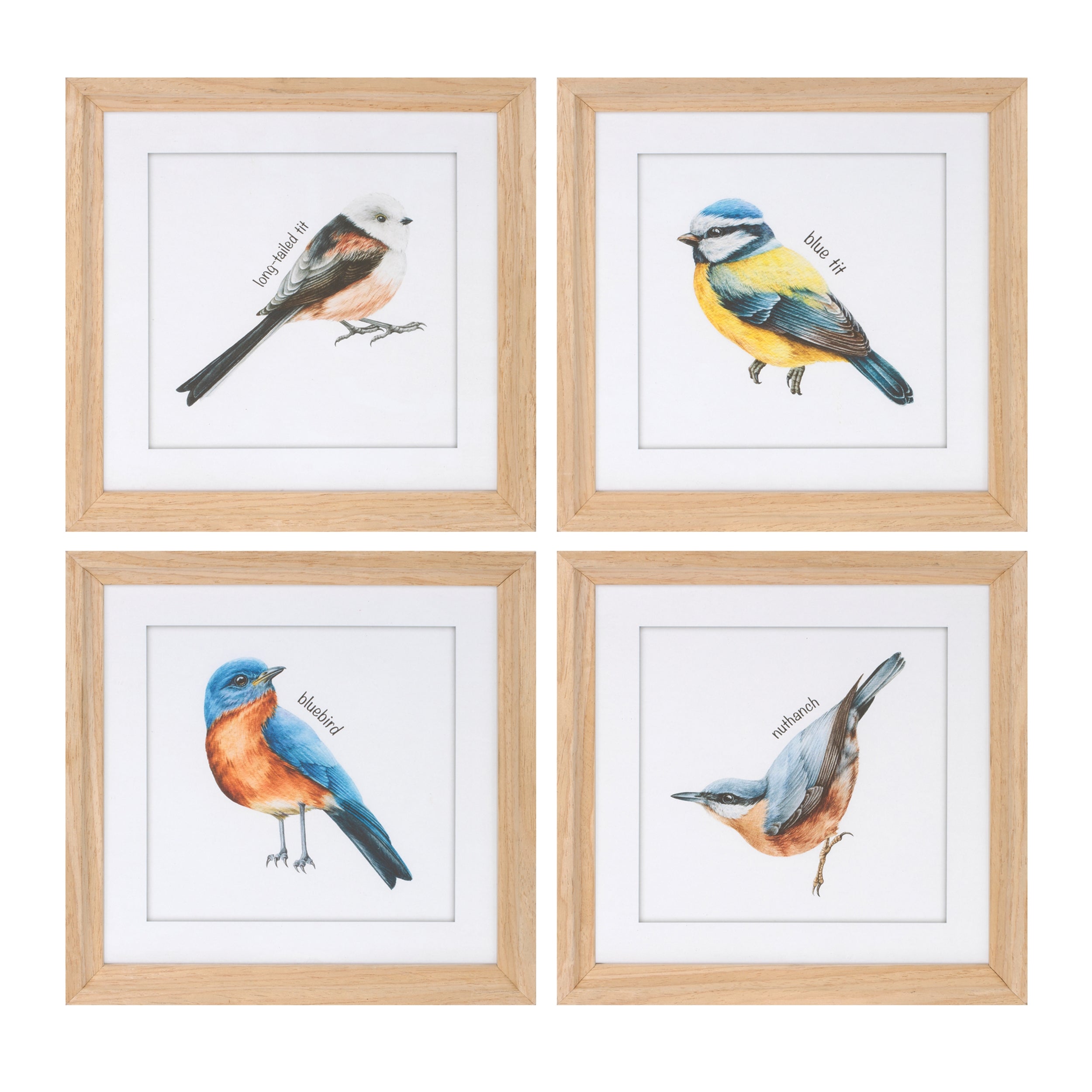 Framed Bird Print (Set of 8) 9.75"SQ MDF/Glass/Paper