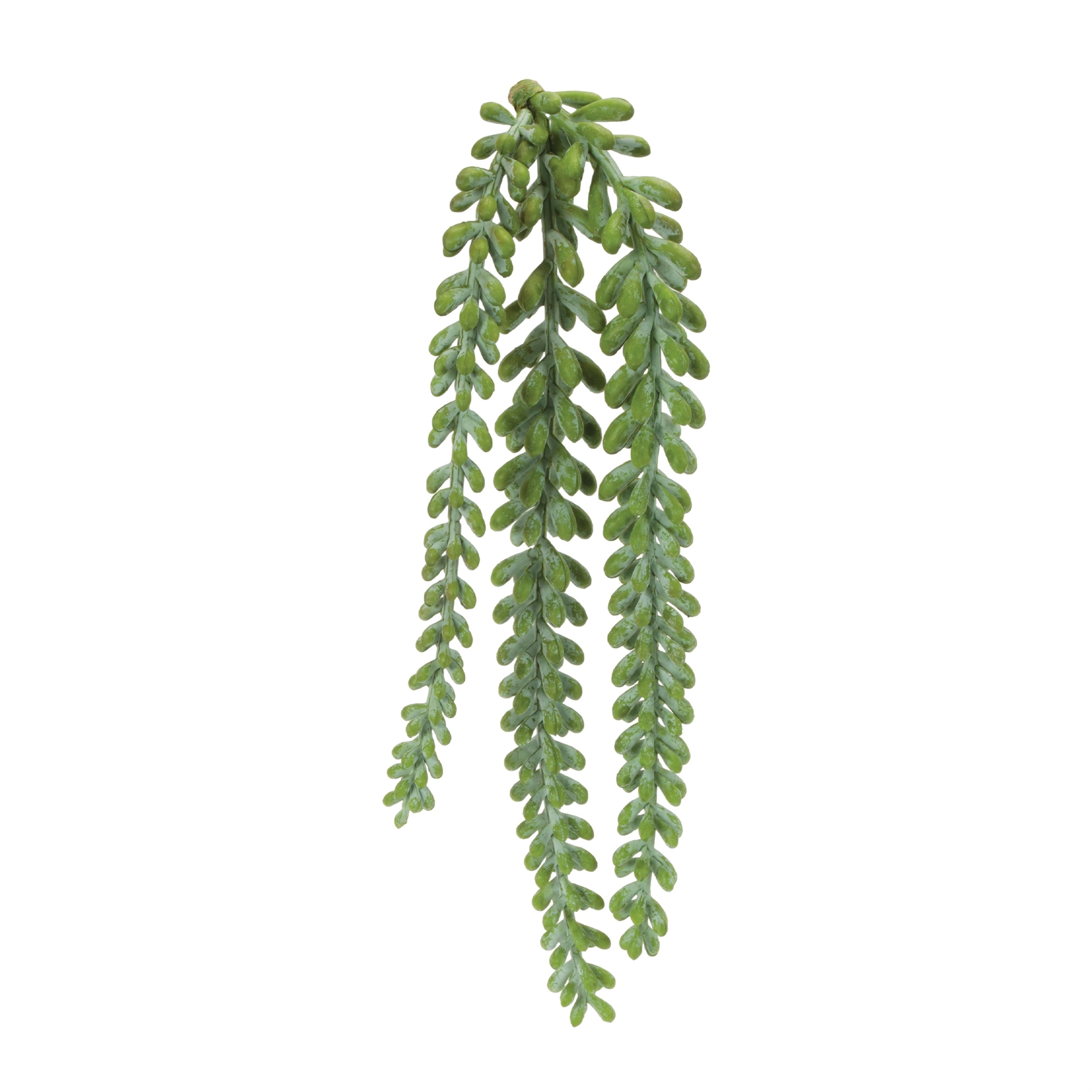 Succulent Stem (Set of 12) 14.5"H Plastic