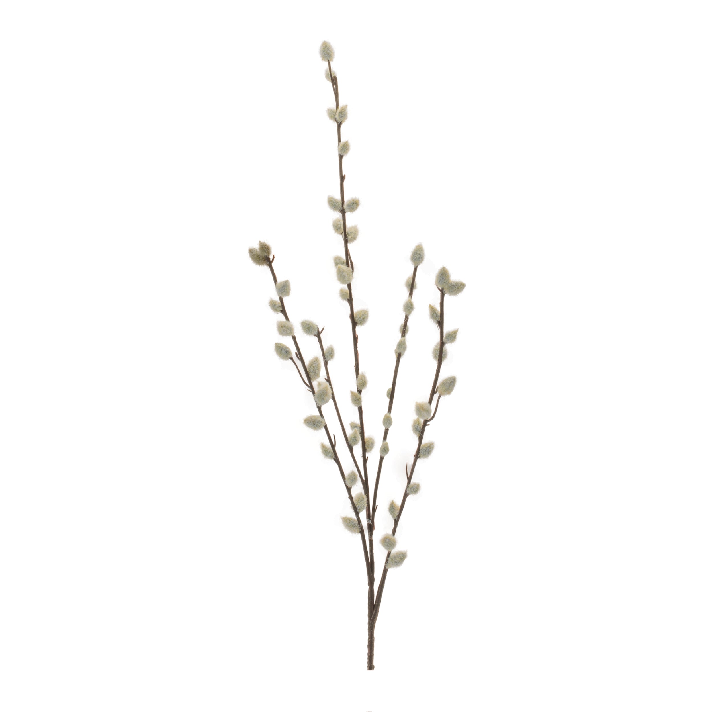 Pussy Willow Stem (Set of 6) 30.5"H Plastic