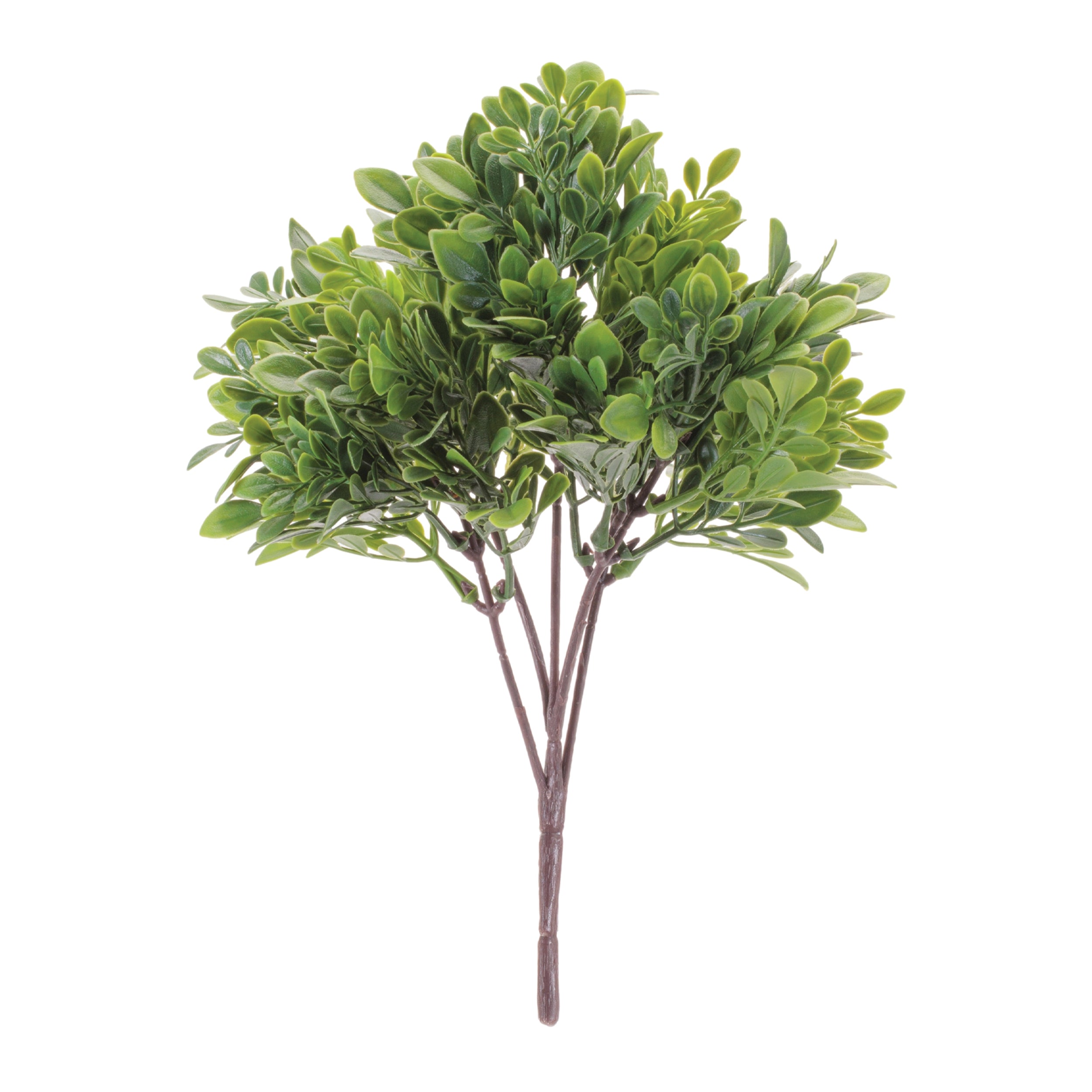 Boxwood Bush (Set of 6) 11.5"H Plastic