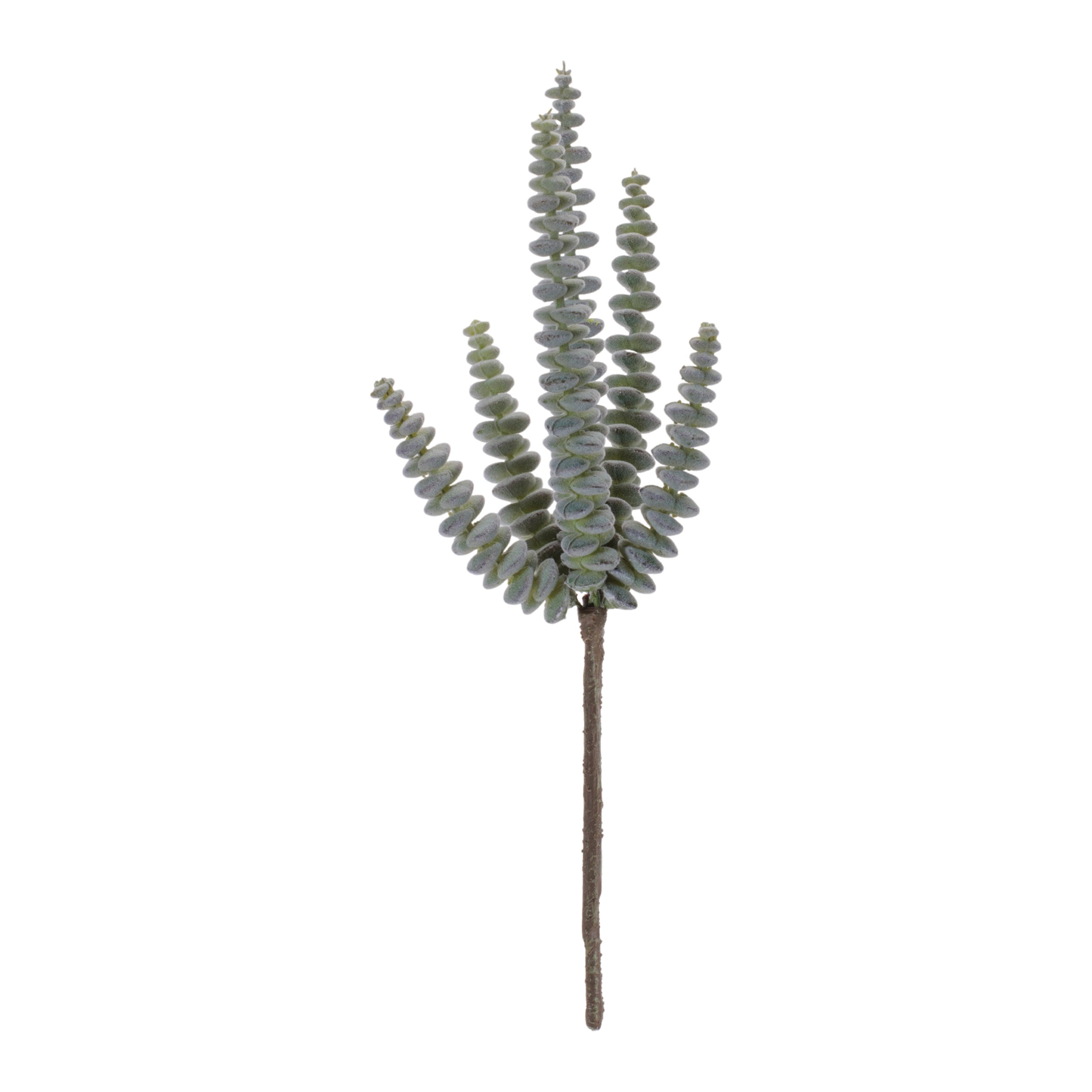 Succulent (Set of 6) 11"H Plastic