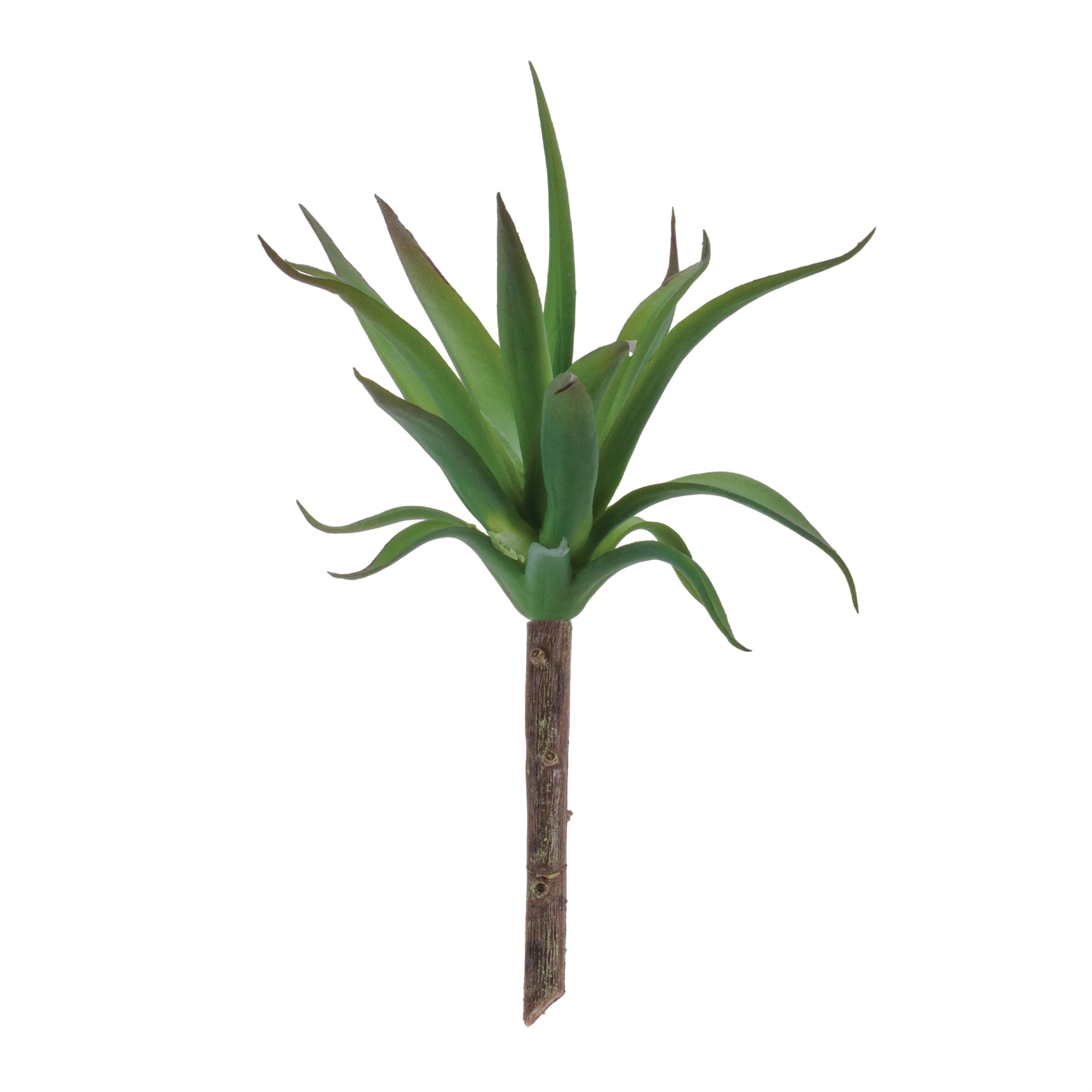 Succulent (Set of 6) 8.75"H Plastic