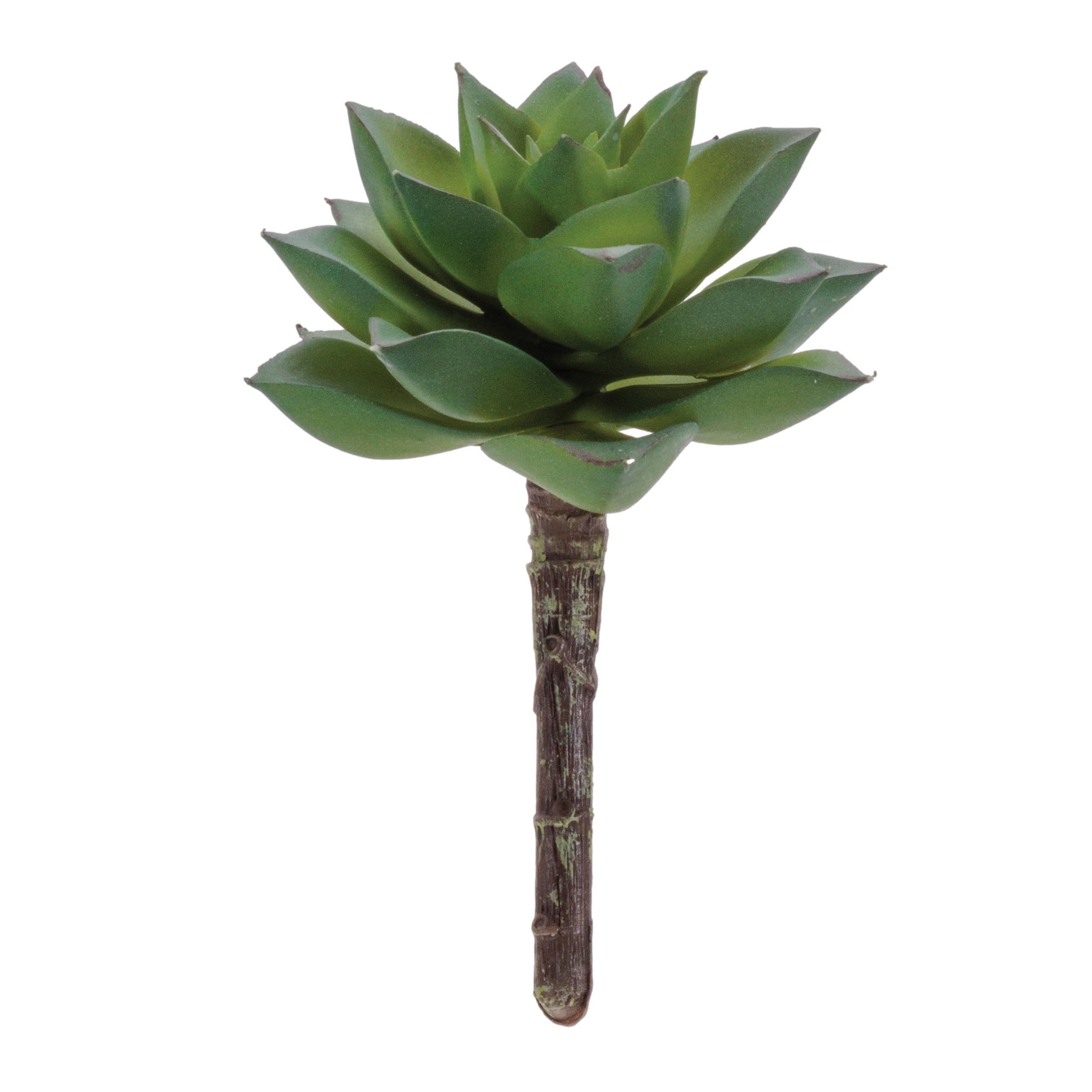 Succulent (Set of 12) 4.25"H Plastic