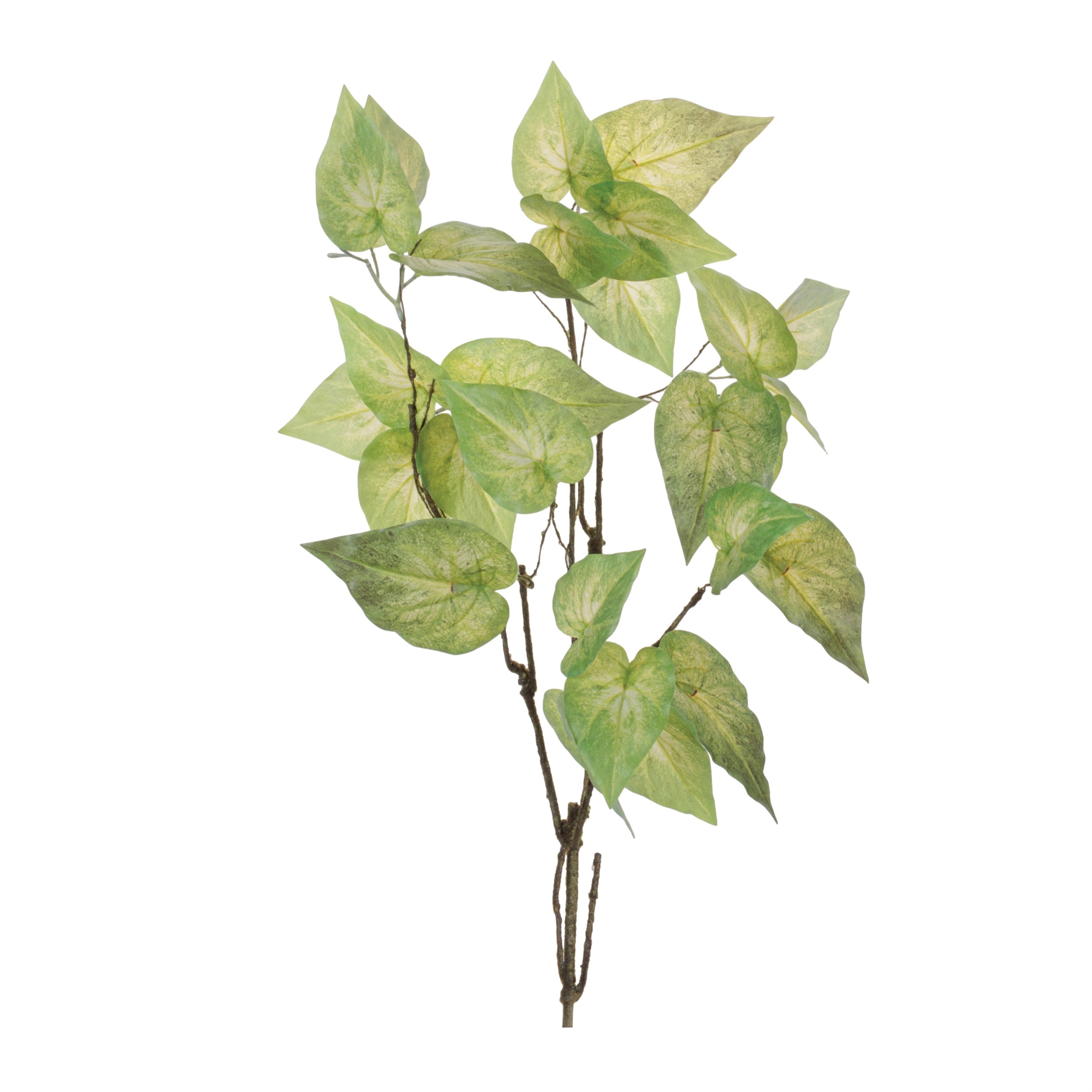 Anthurium Leaf Branch (Set of 4) 40"H Polyester