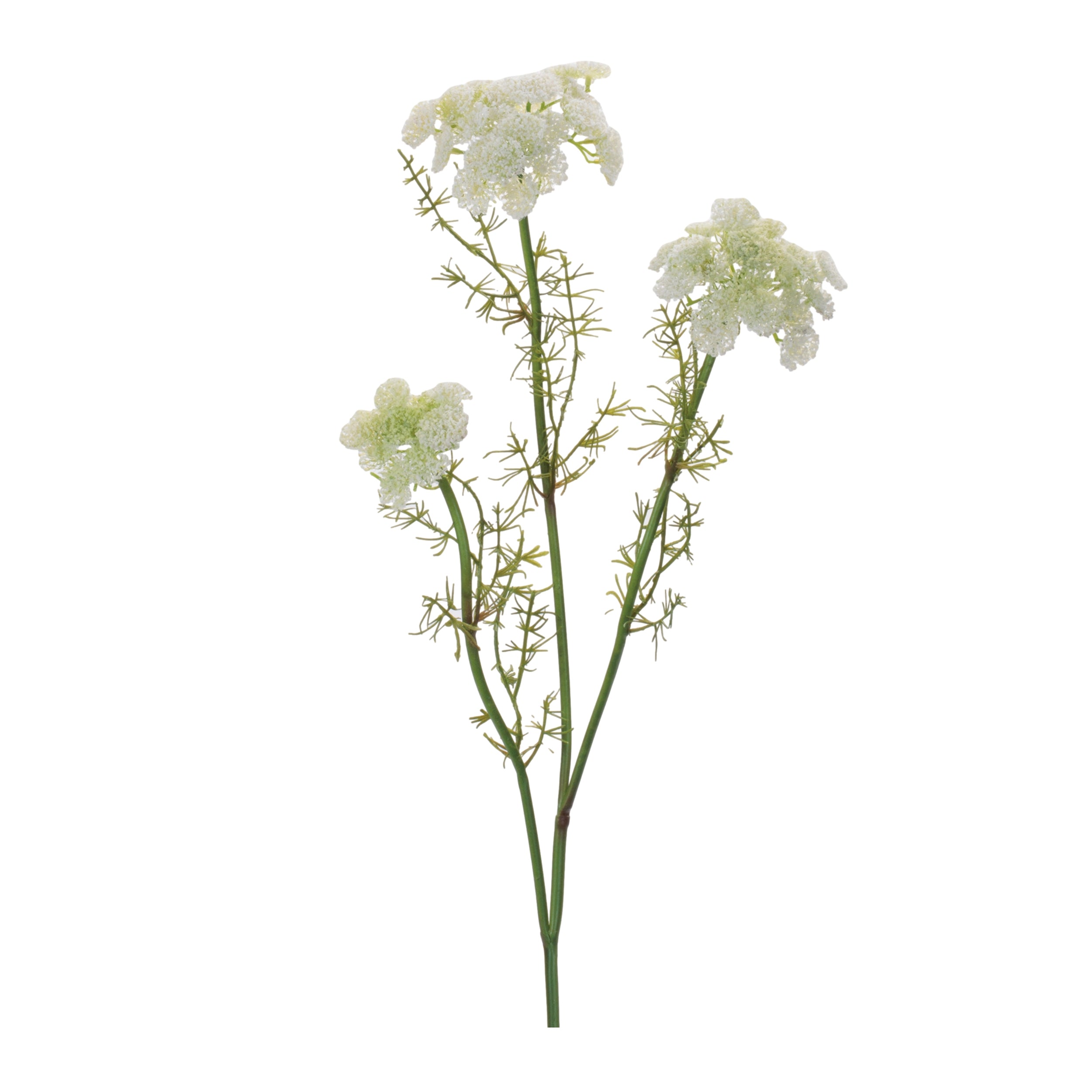 Queen Anne's Lace Spray (Set of 6) 29"H Plastic