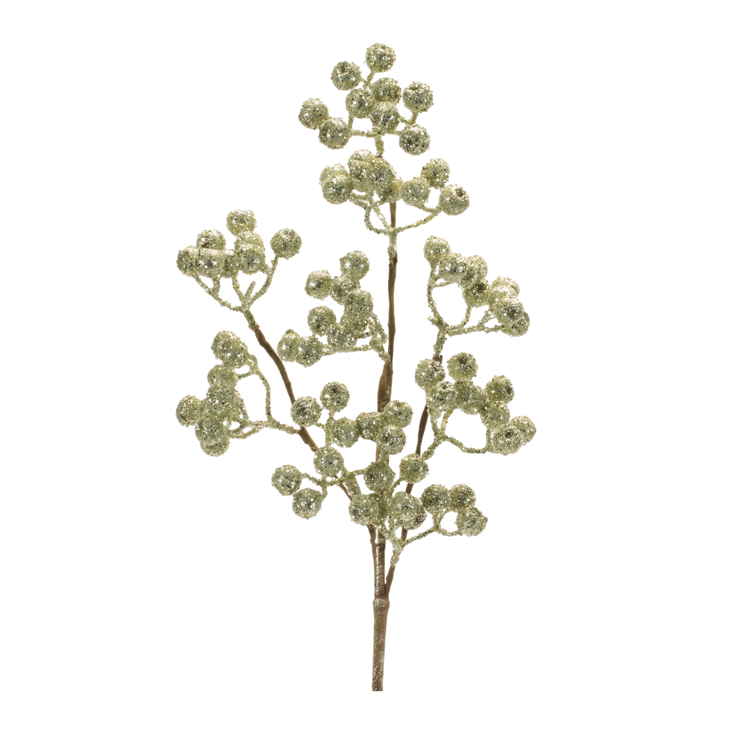 Berry Spray 23”H Foam