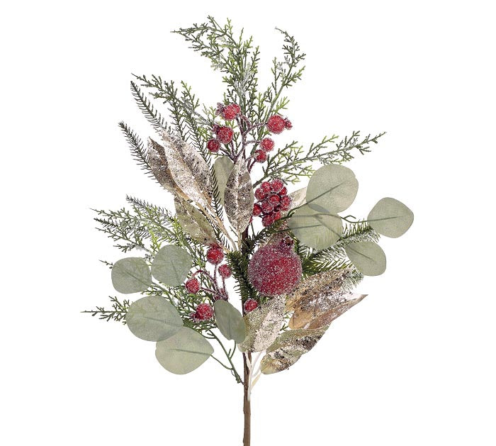 Premium Frosted Pomegranate Stem (S/6)