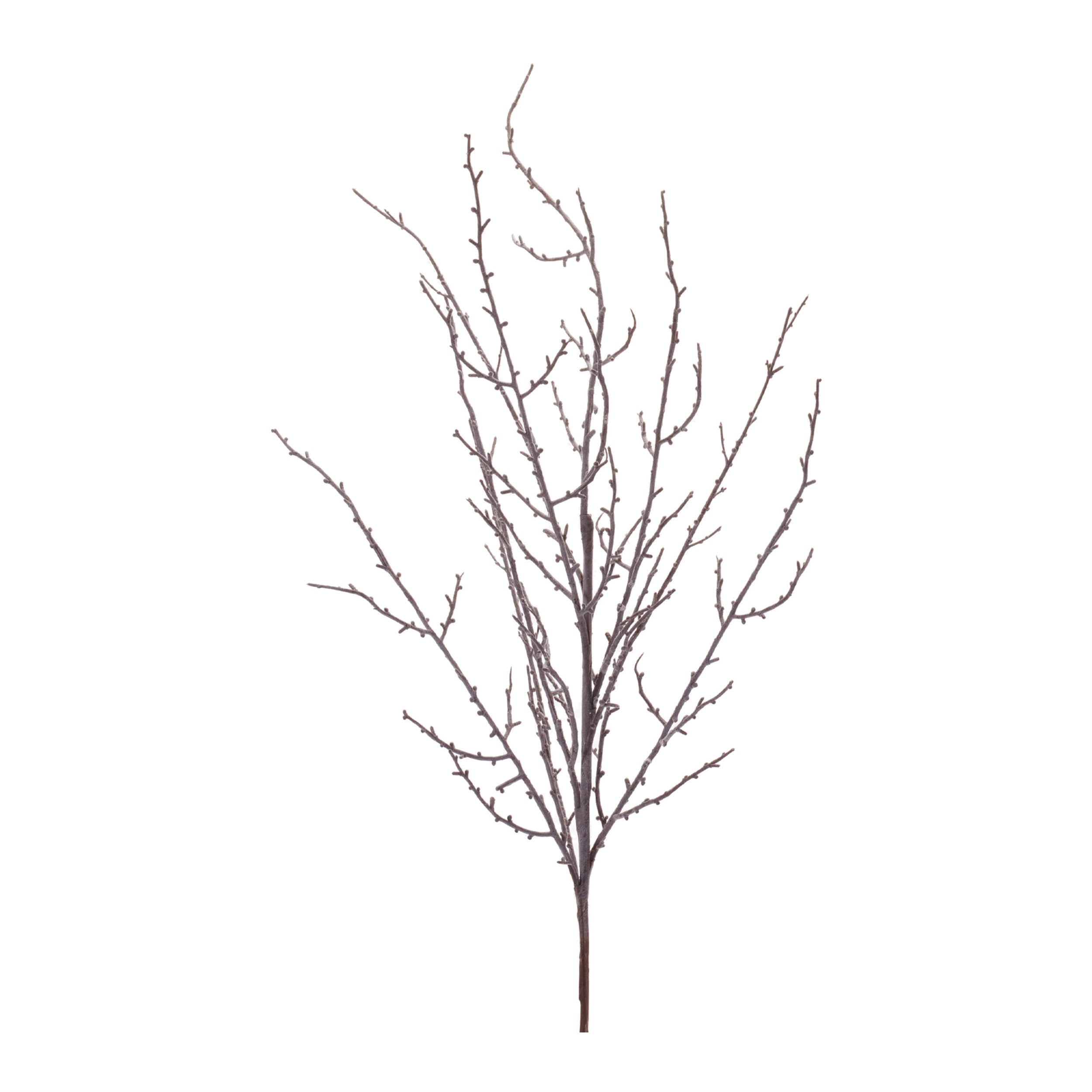 Twig Branch 34”H