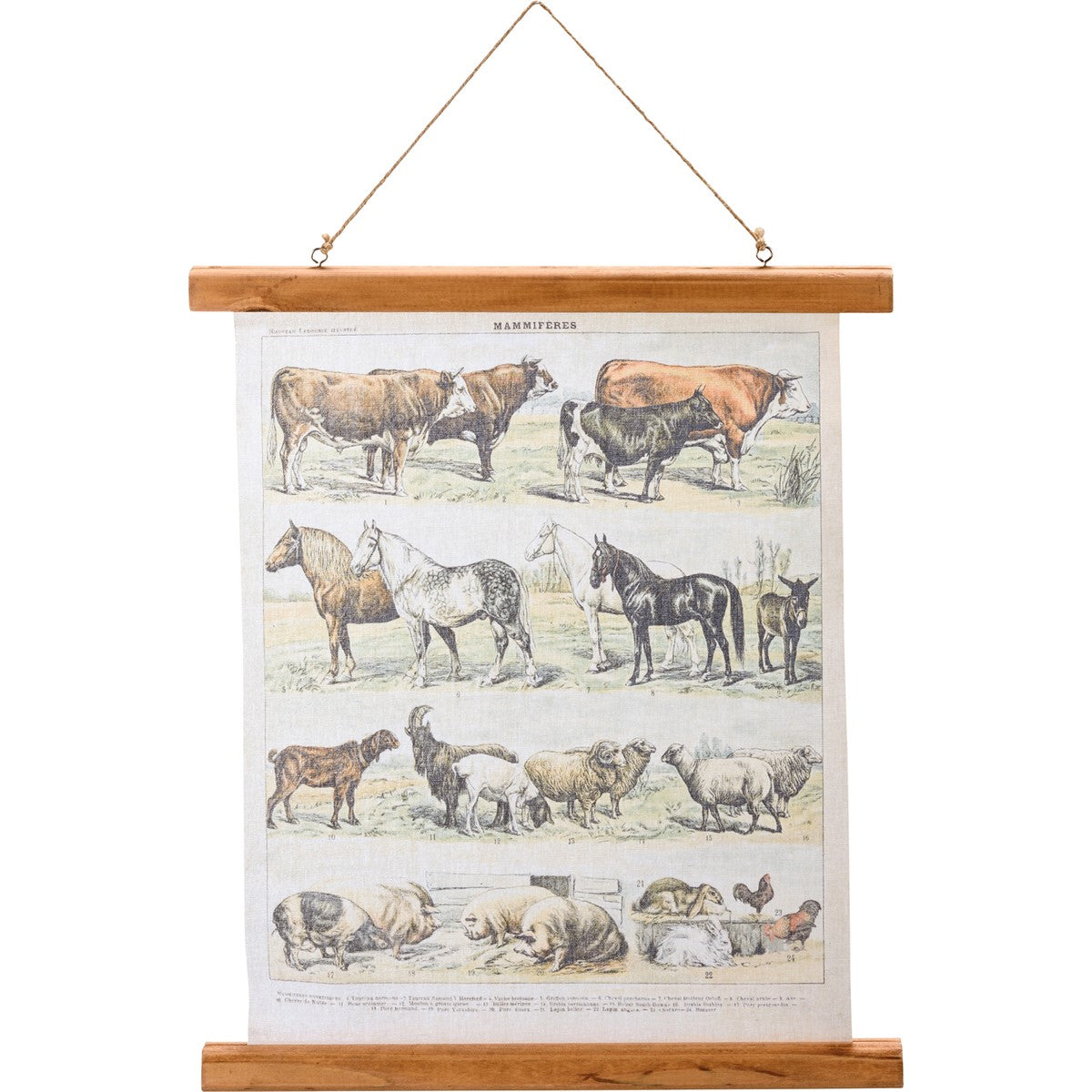 Farm Animals Scroll