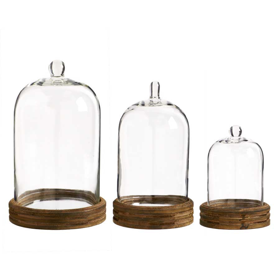 Glass Cloche's w/ Wood Base (S/3)