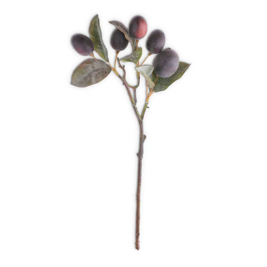 Harvest Plum Stem