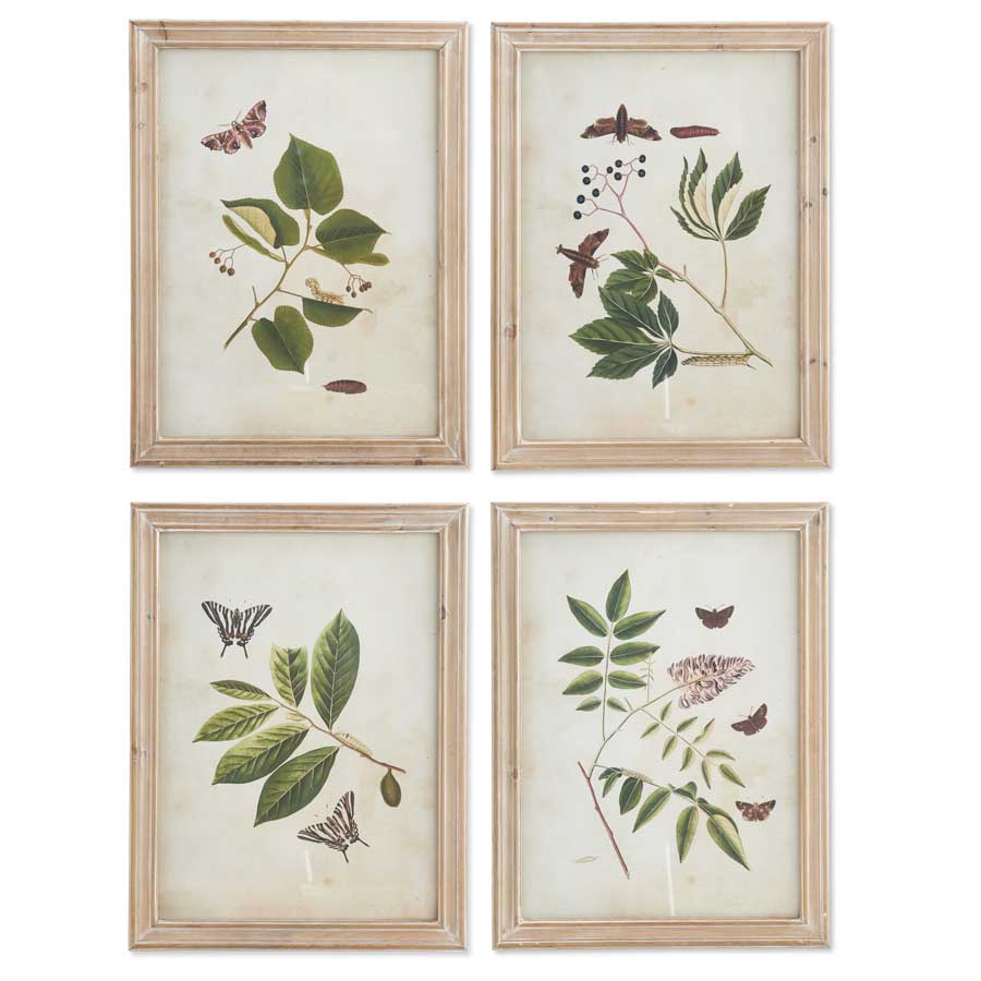 Neutral Botanical Print Collection (S/4) (5655062937757)