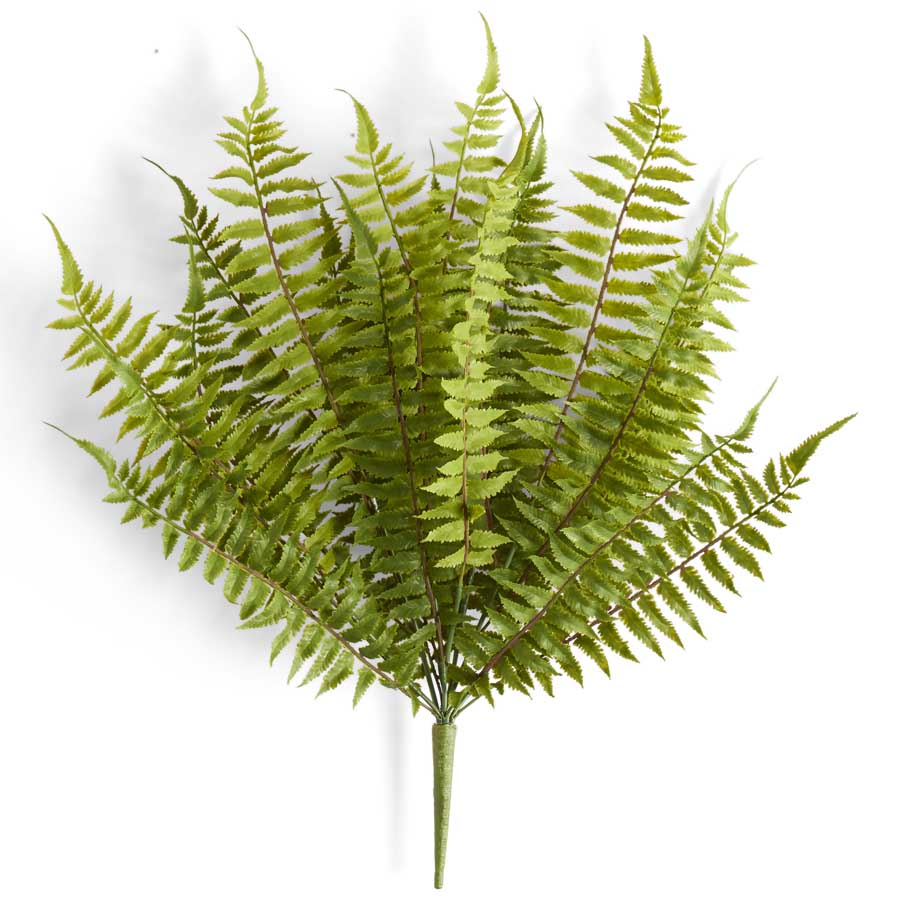 24" Fern Bush