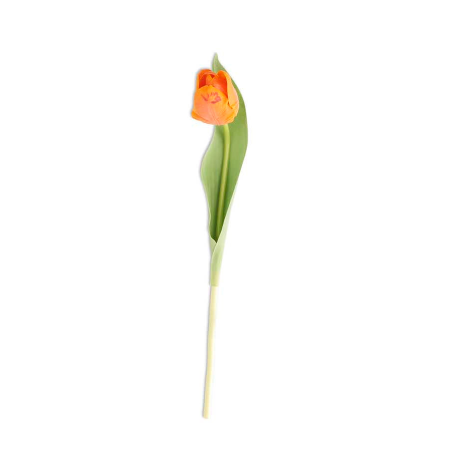 Real Touch Tulip Stem (Orange)