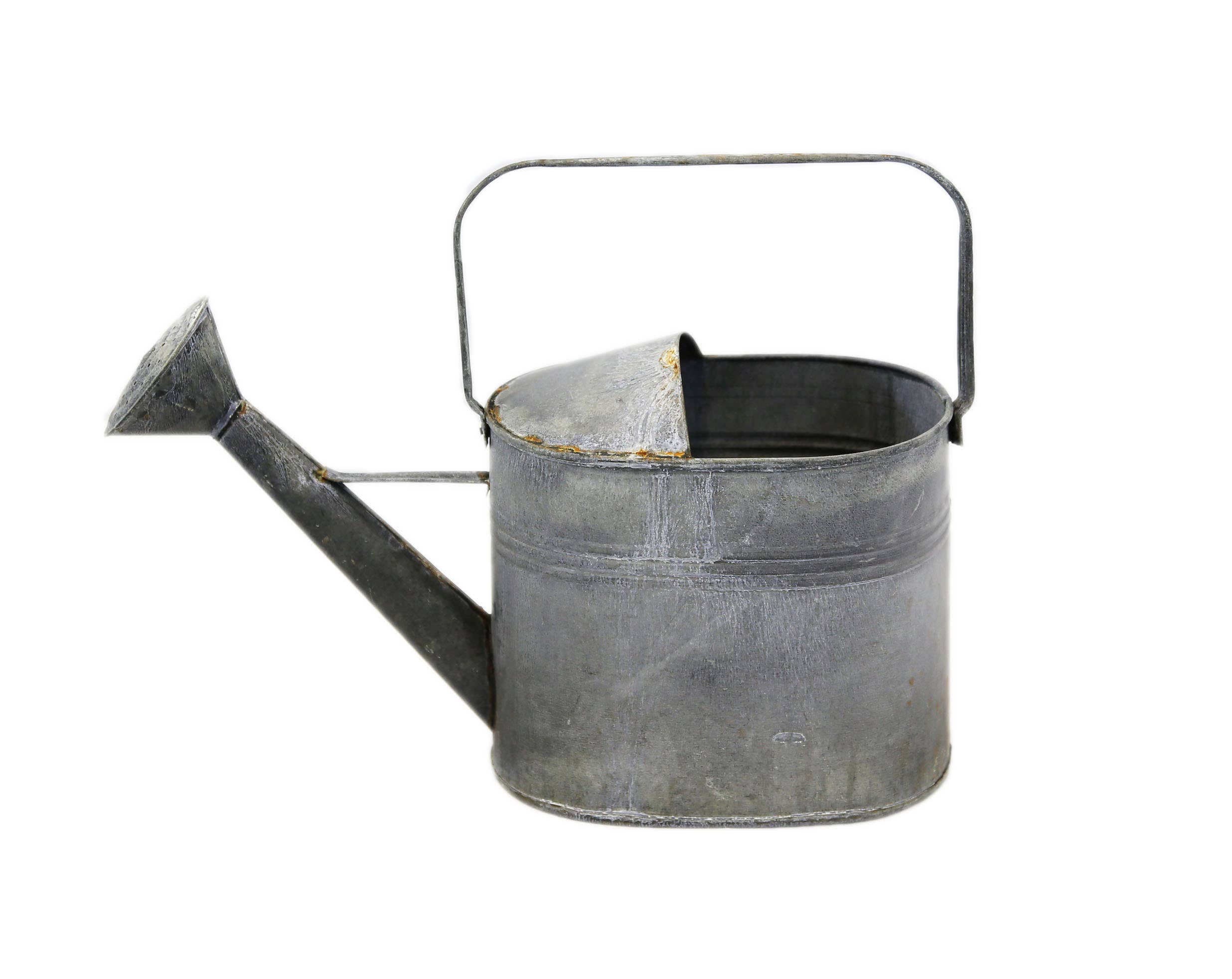 Gray Zinc Oval Watering Can
