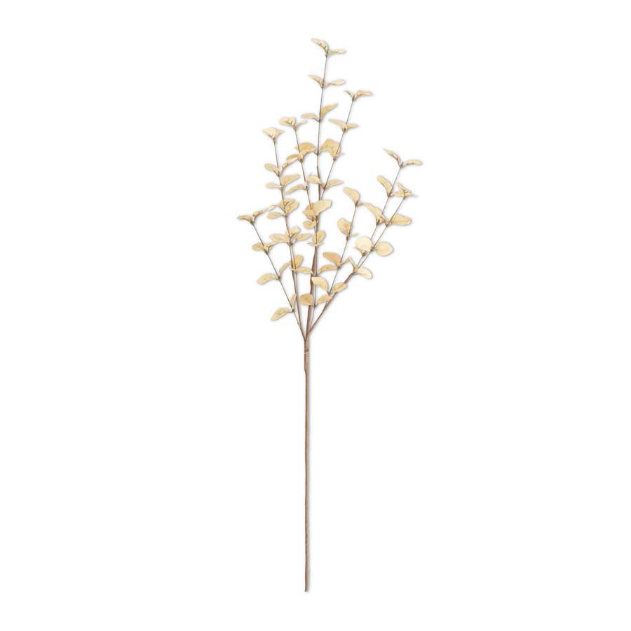 34" Beige Eucalyptus Stem (5610105962653)