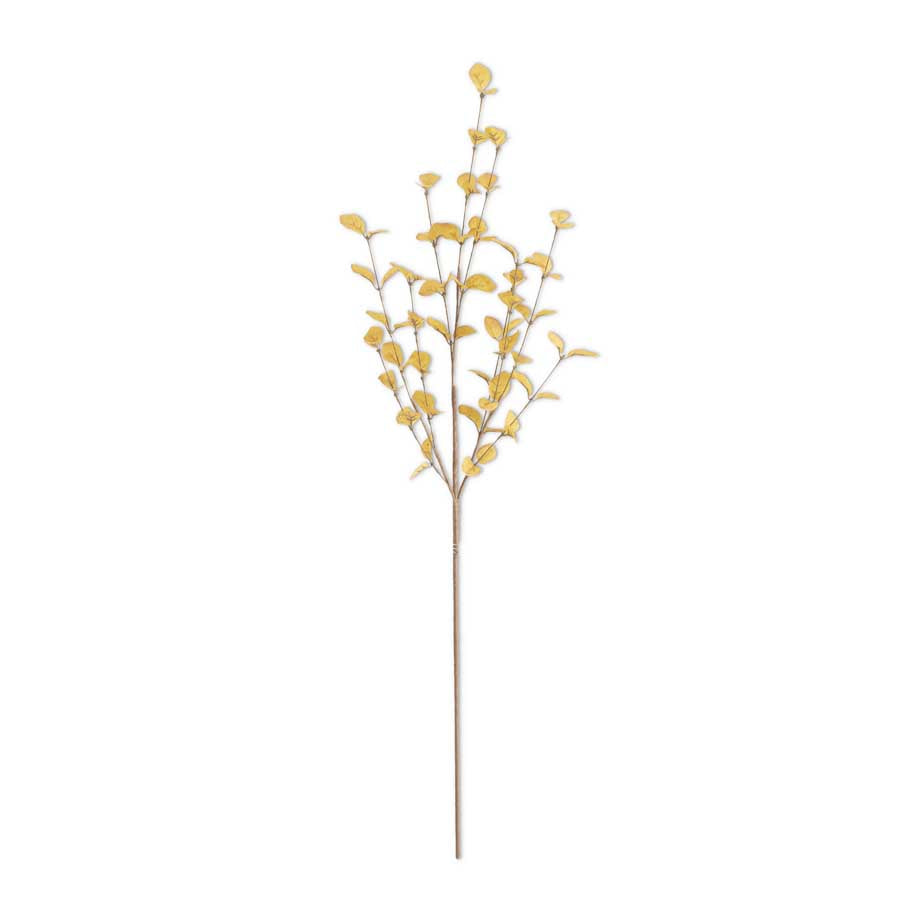 34" Yellow Eucalyptus Stem (5610106028189)