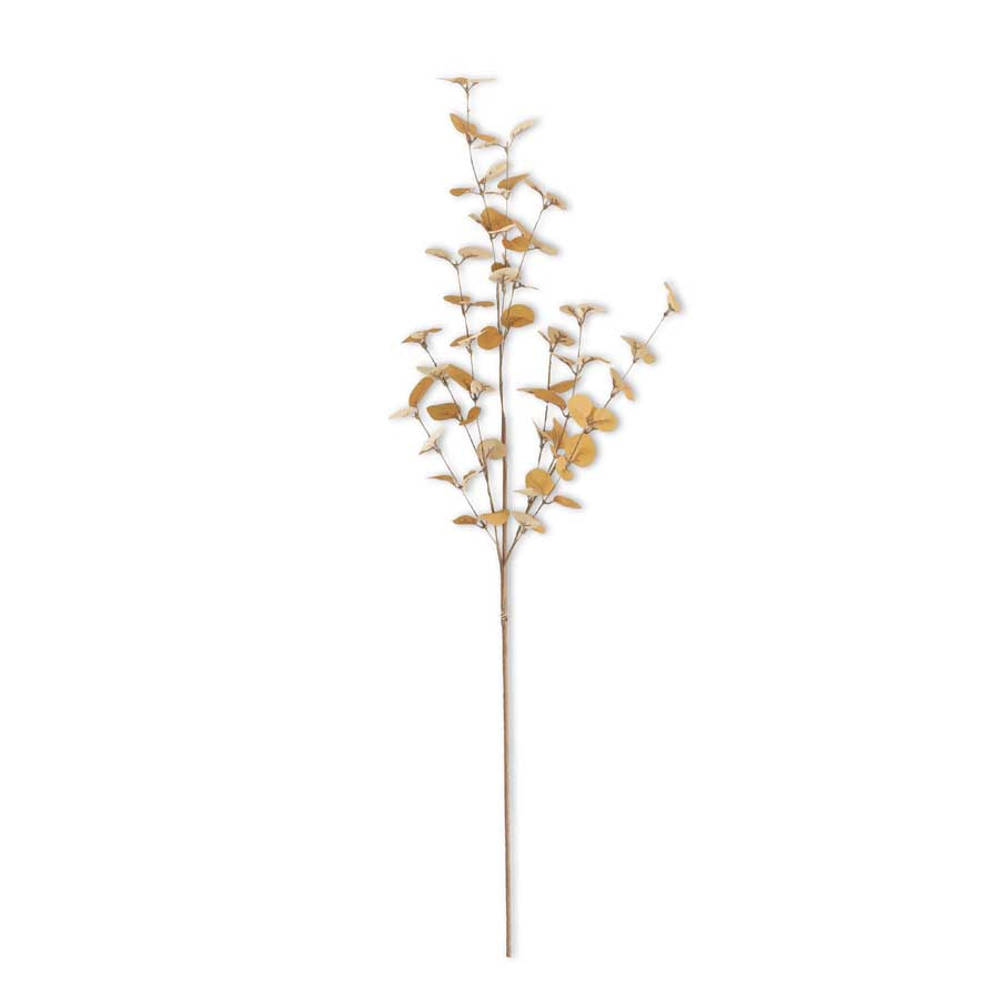 34" Double Yellow Eucalyptus Stem (5610106060957)