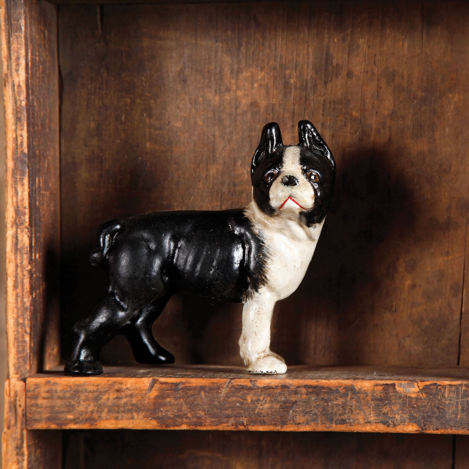 Vintage Inspired Dog - Boston Terrier