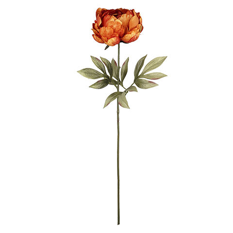 Long Orange Peony Stem (5610100261021)