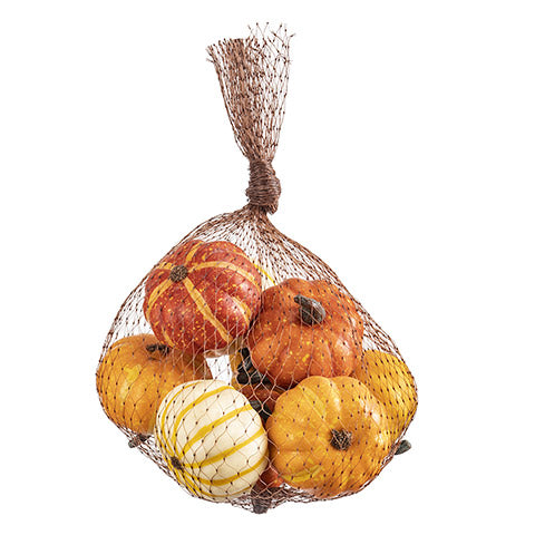 Cream & Orange Neutral Pumpkins in Bag (5610098884765)