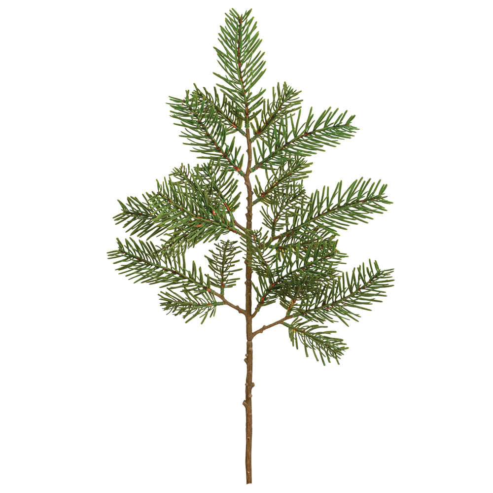 Evergreen Branch (S/3)