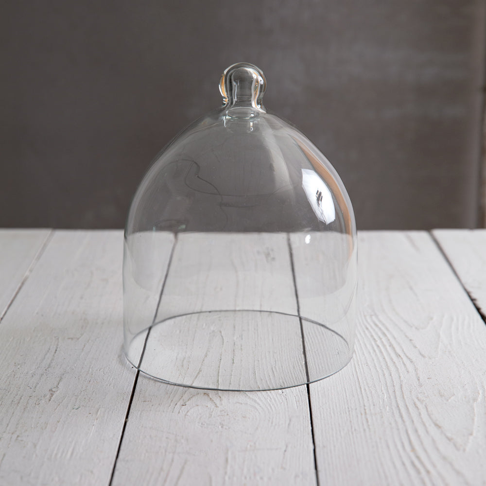 Glass Bell Shaped Cloche