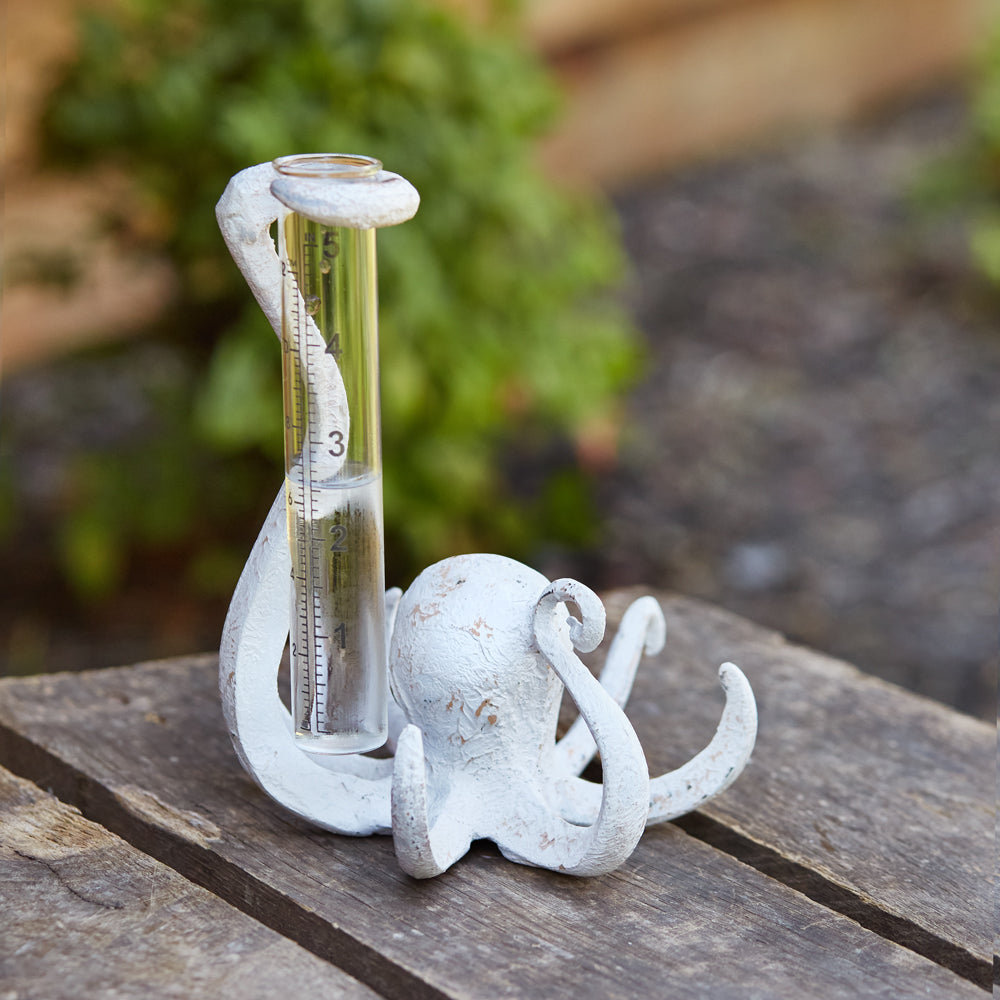 Octopus Rain Gauge