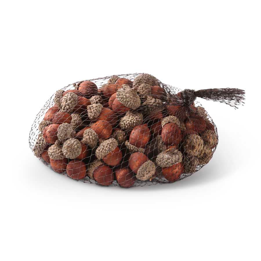 Bag of Acorns - Brown (5610106126493)