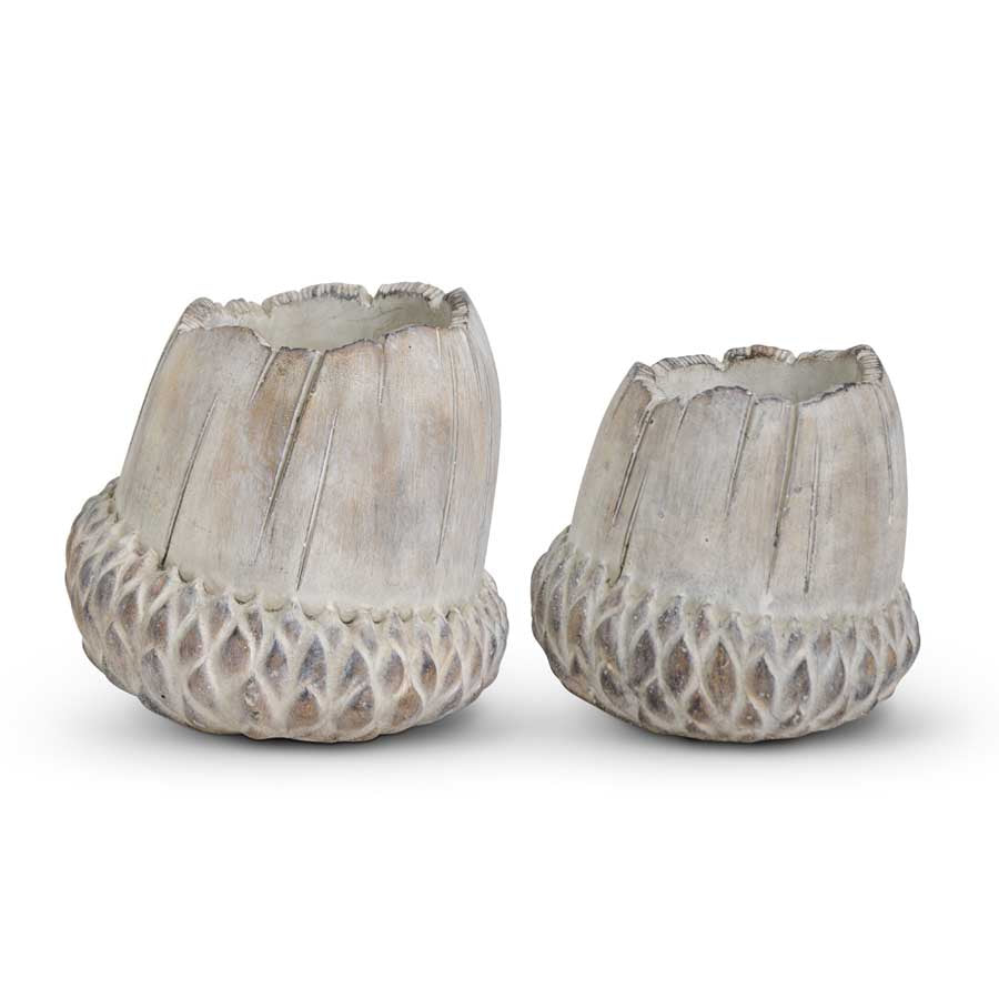 Cement Acorn Planters (S/2) (5610106224797)