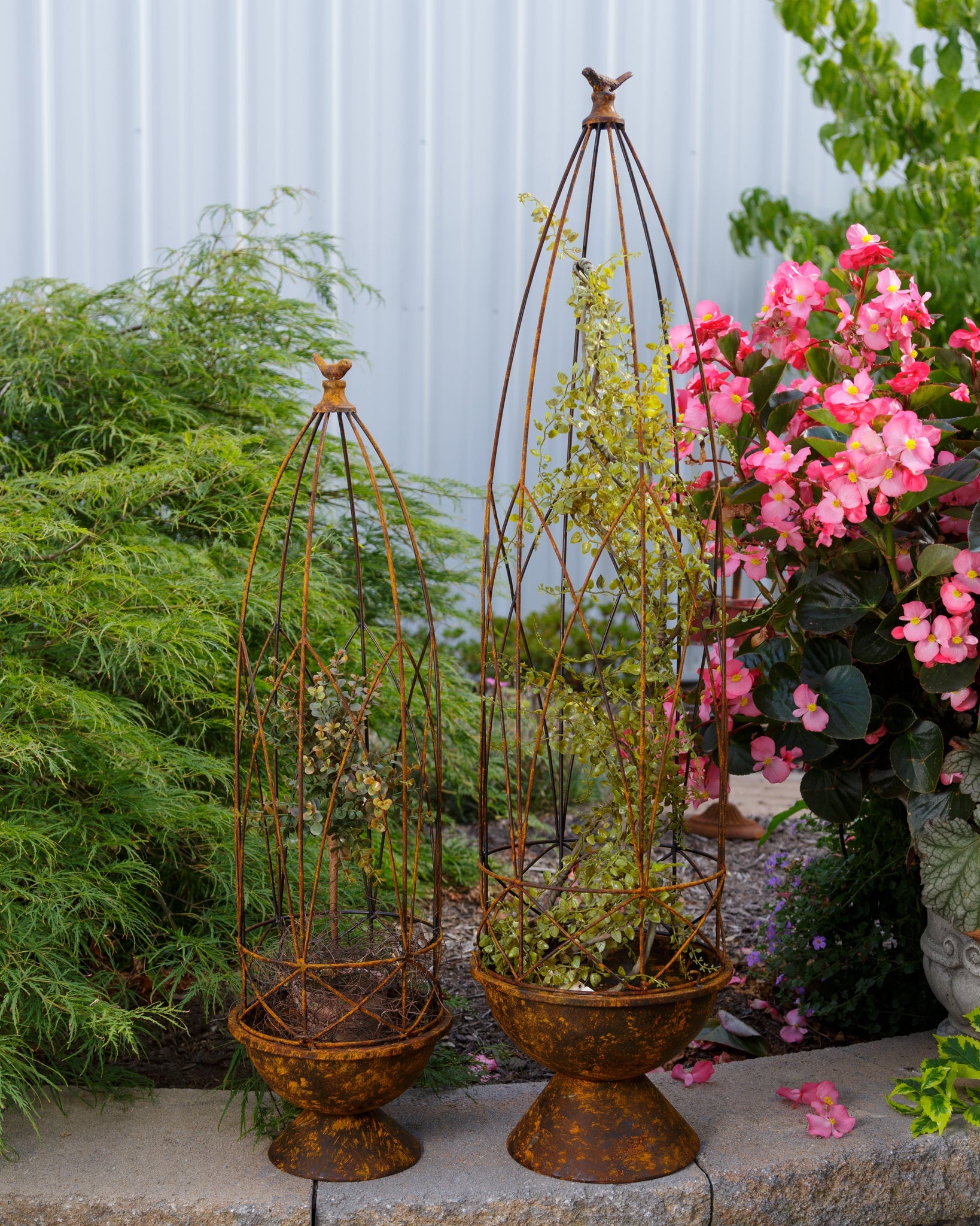 Rustic Wire Topiary Stands (S/2)