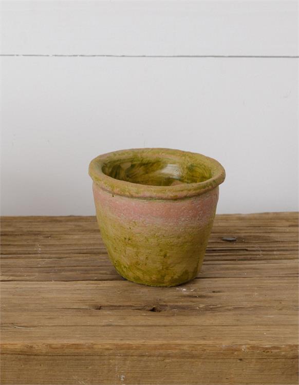 Mossy Terracotta Pot (S)